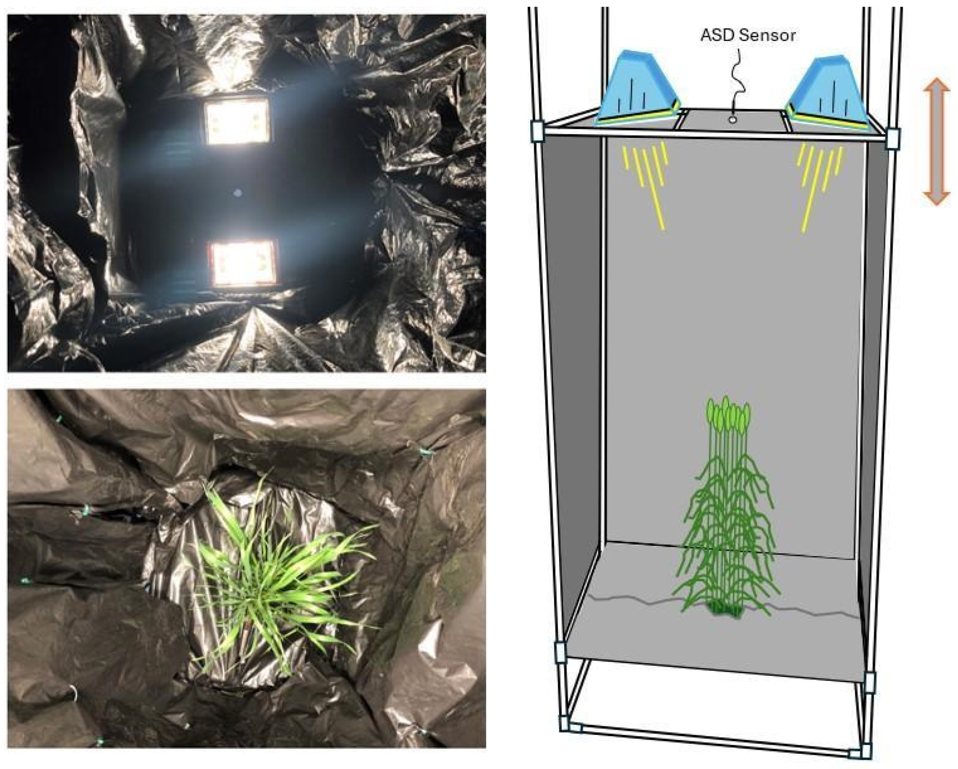 Remotesensing 16 03505 g001