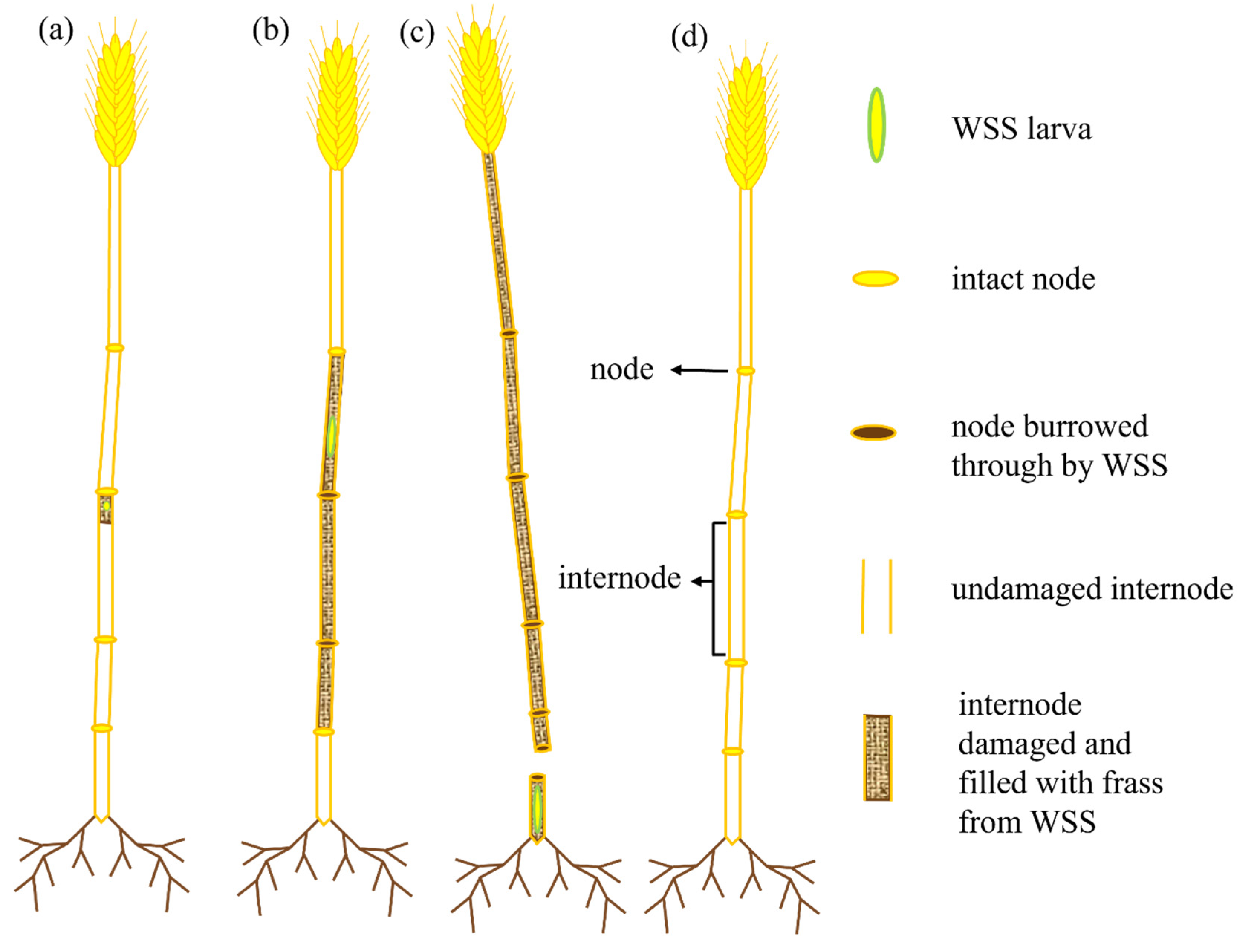 Remotesensing 16 03505 g0a2