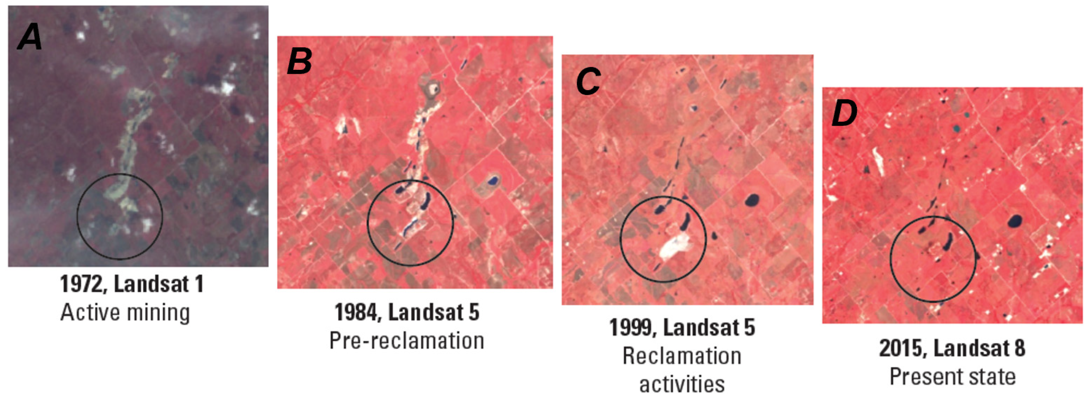 Remotesensing 16 03519 g006