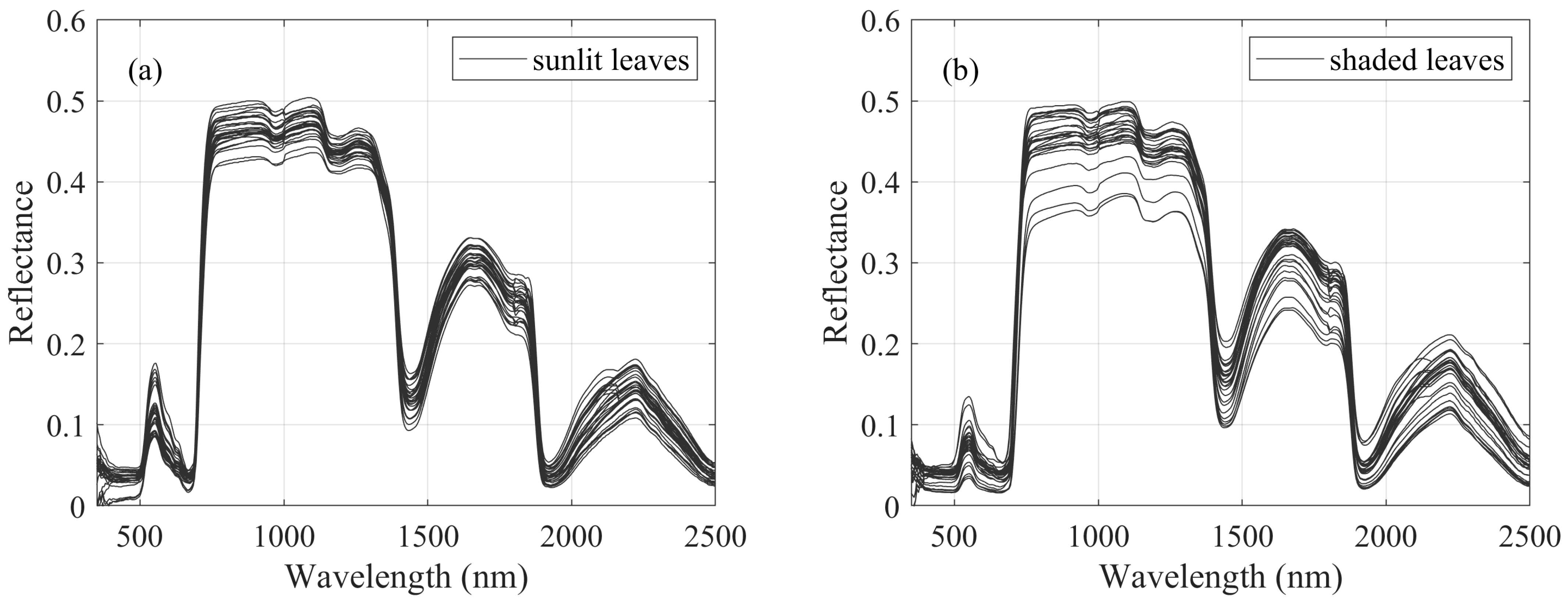 Remotesensing 16 03523 g001
