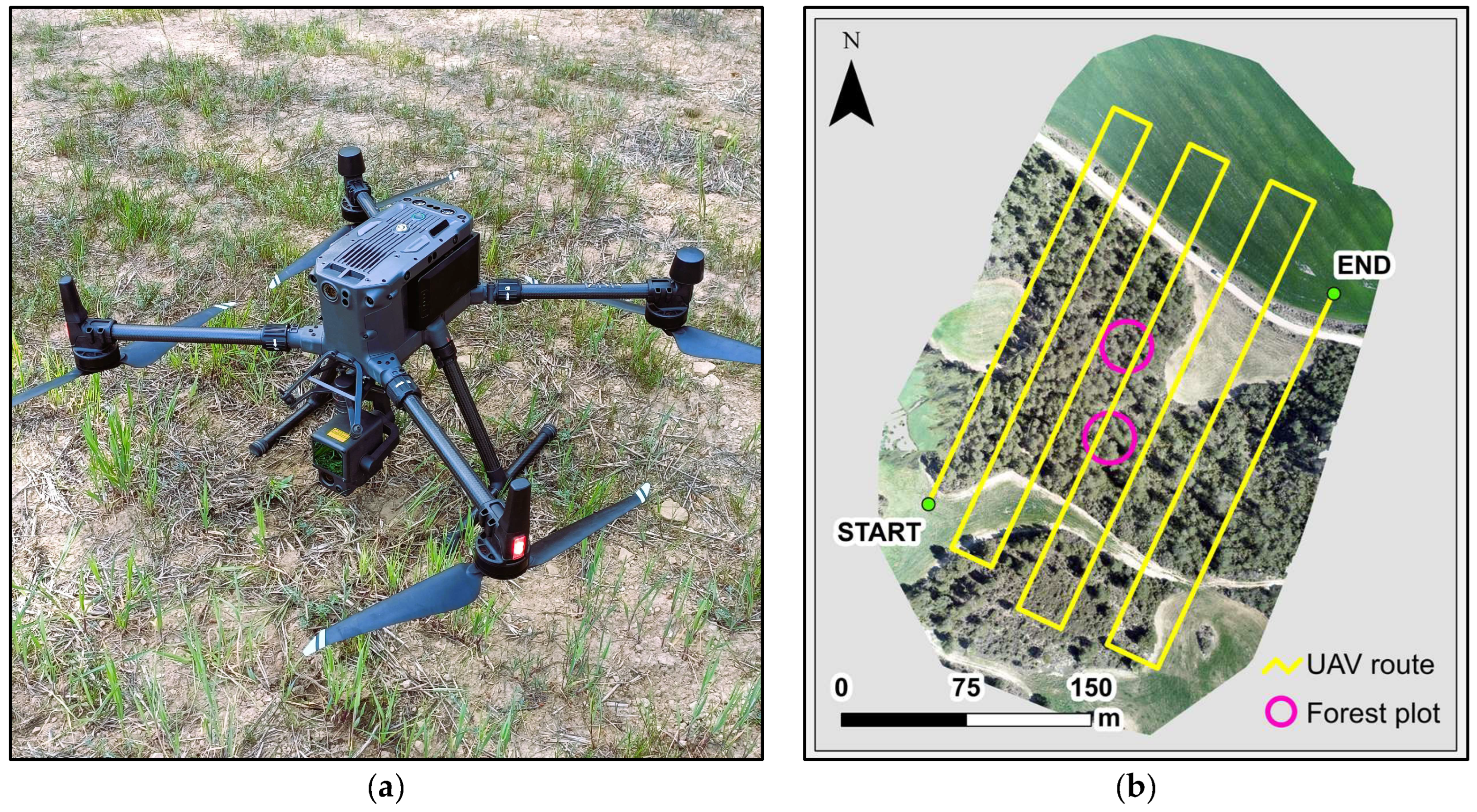 Remotesensing 16 03536 g003