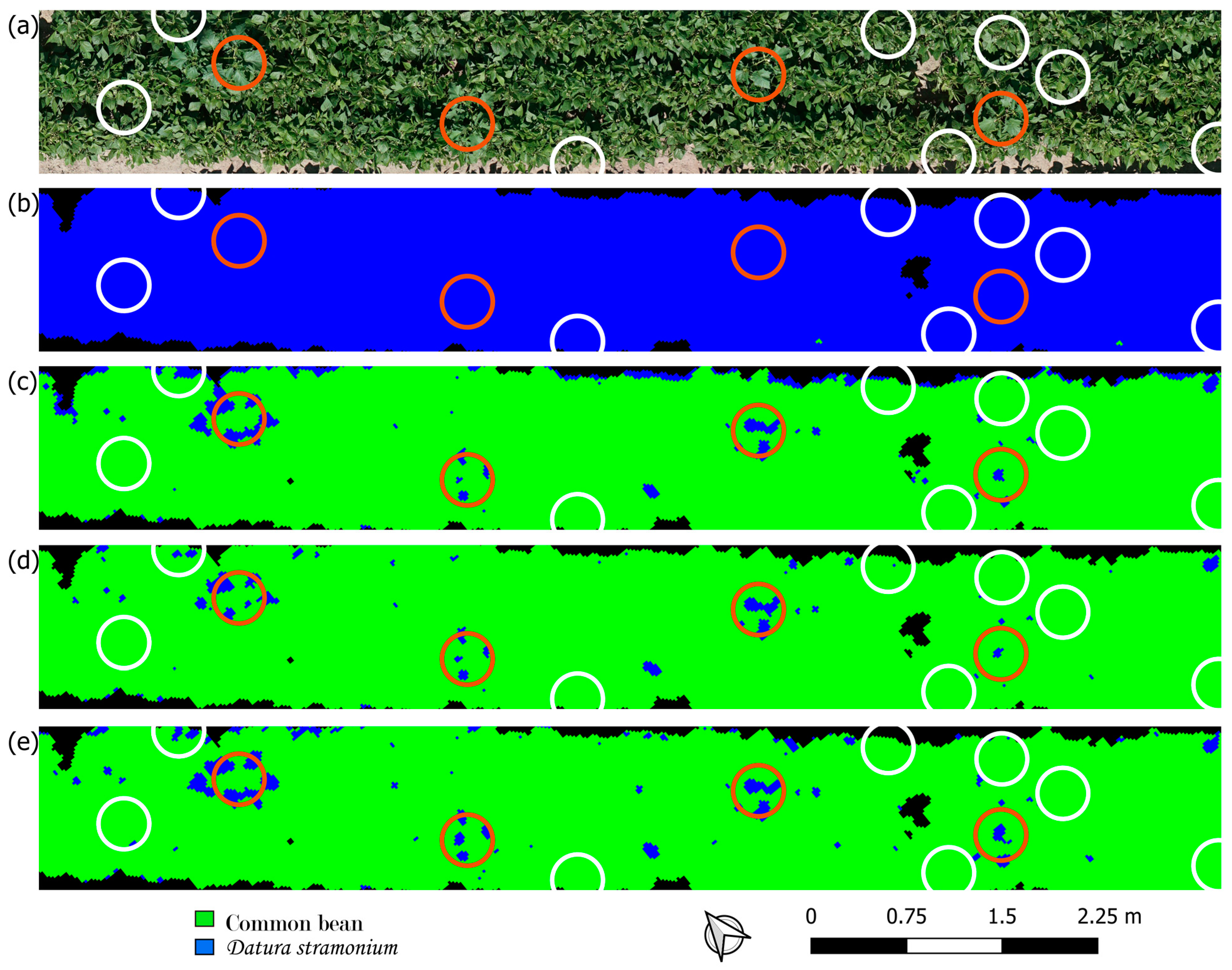Remotesensing 16 03538 g004