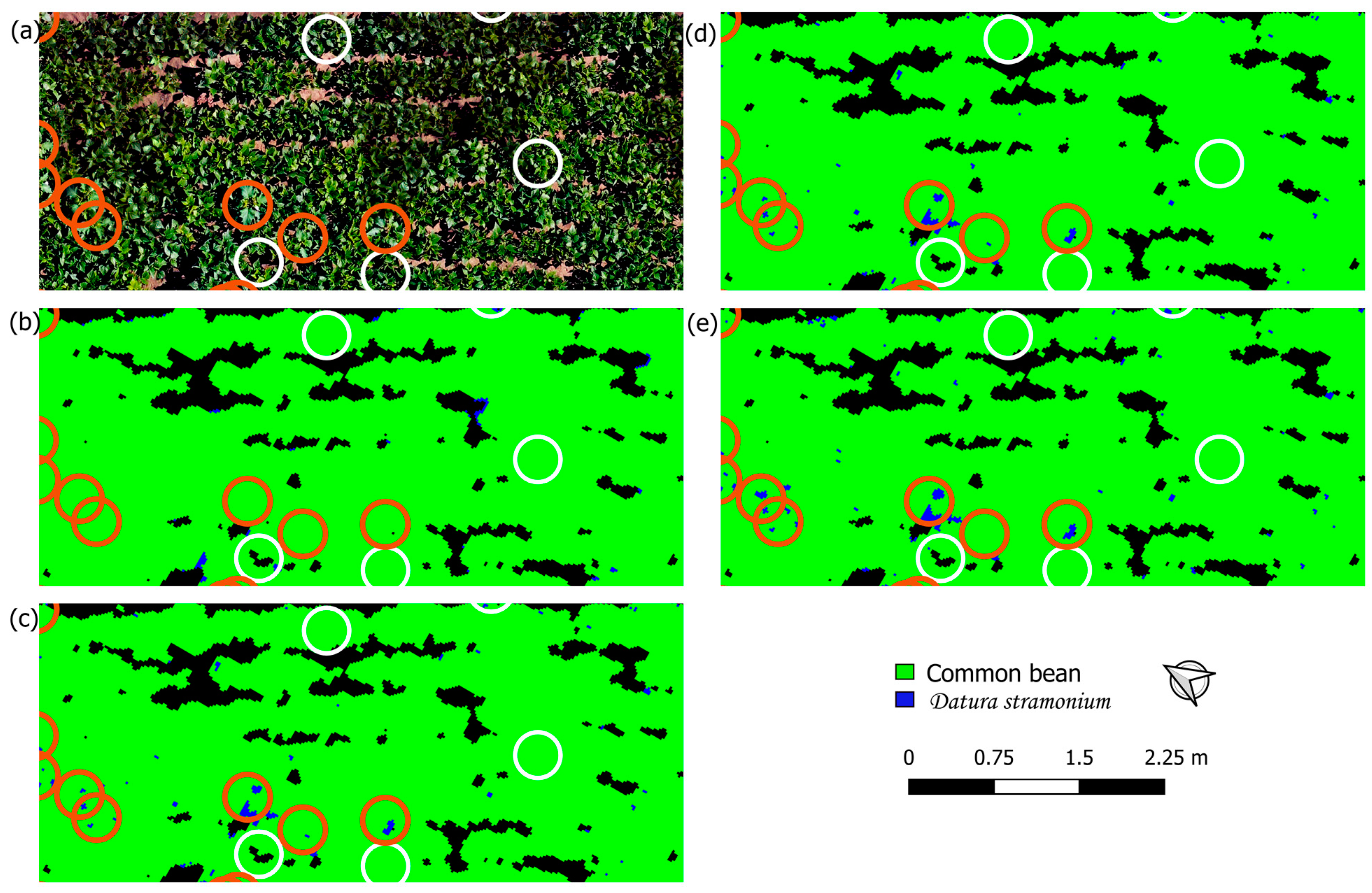 Remotesensing 16 03538 g005