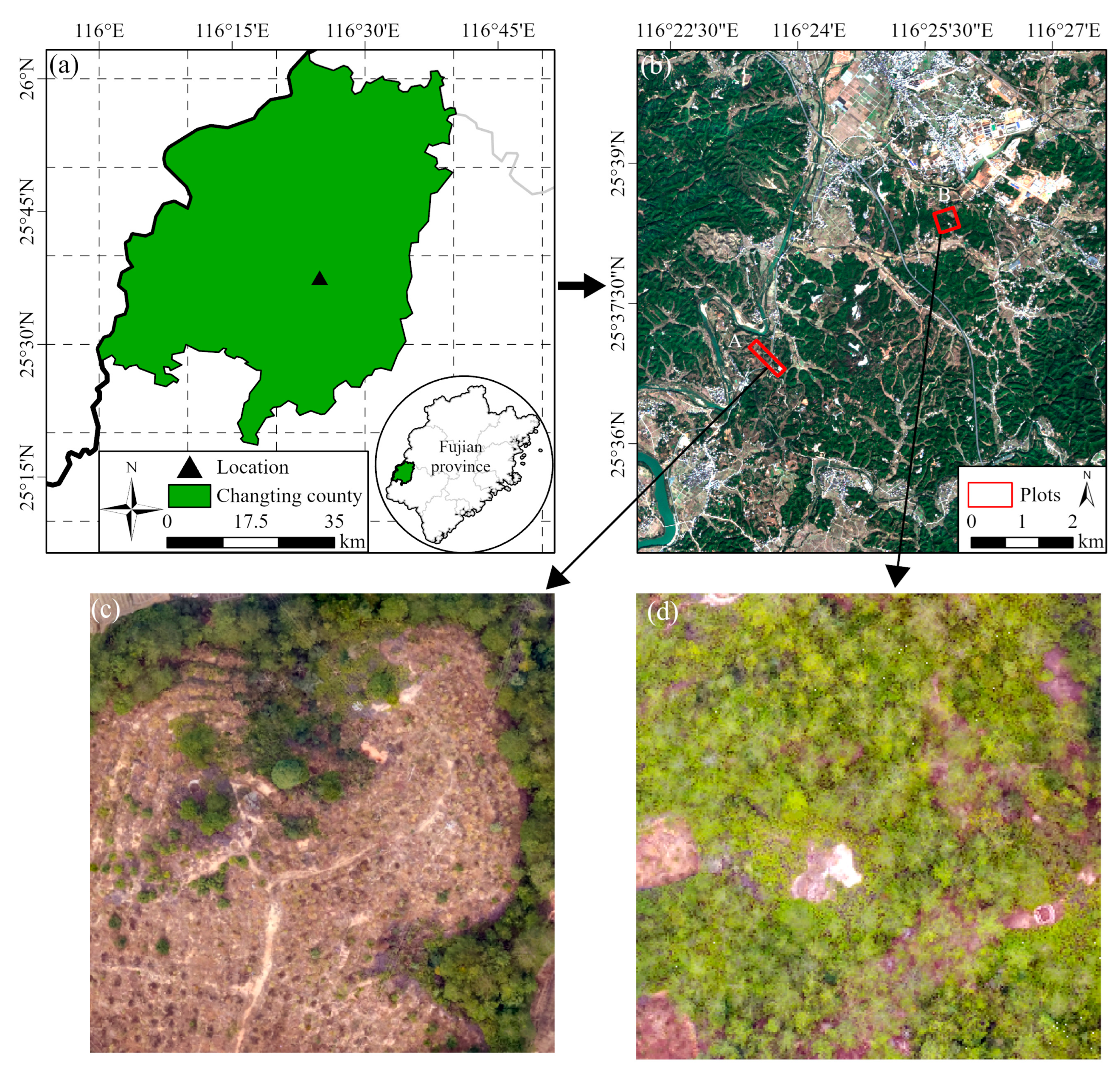 Remotesensing 16 03587 g001