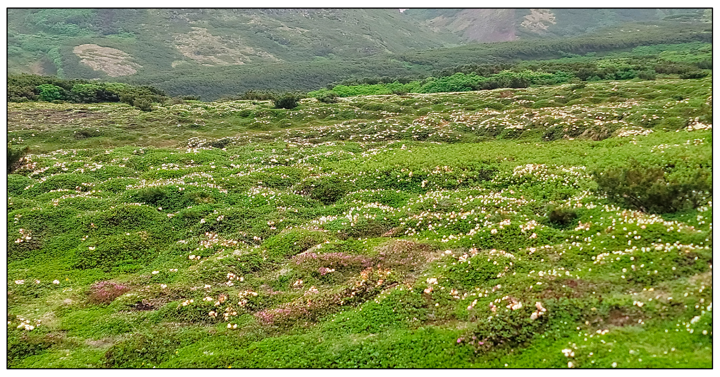 Remotesensing 16 03610 g002 Remotesensing 16 03610 g002