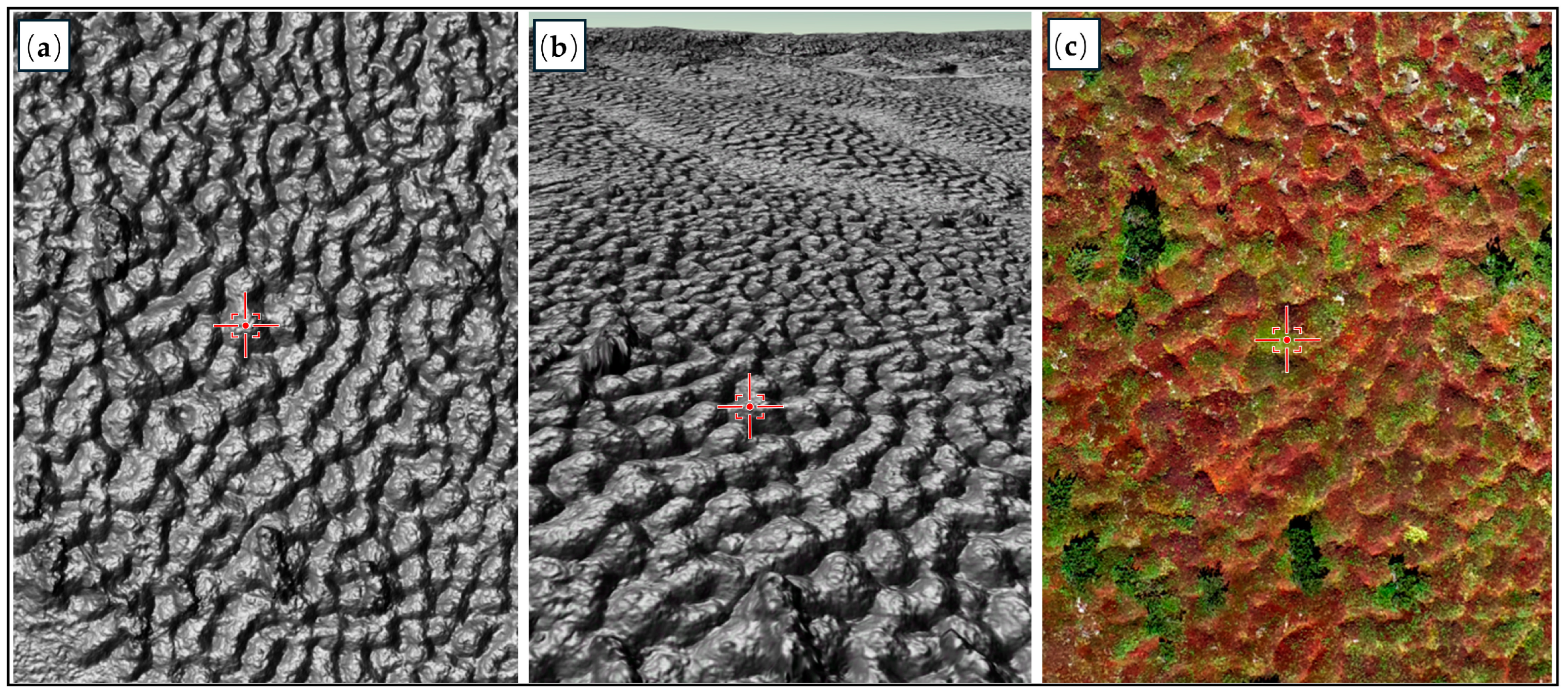 Remotesensing 16 03610 g005 Remotesensing 16 03610 g005