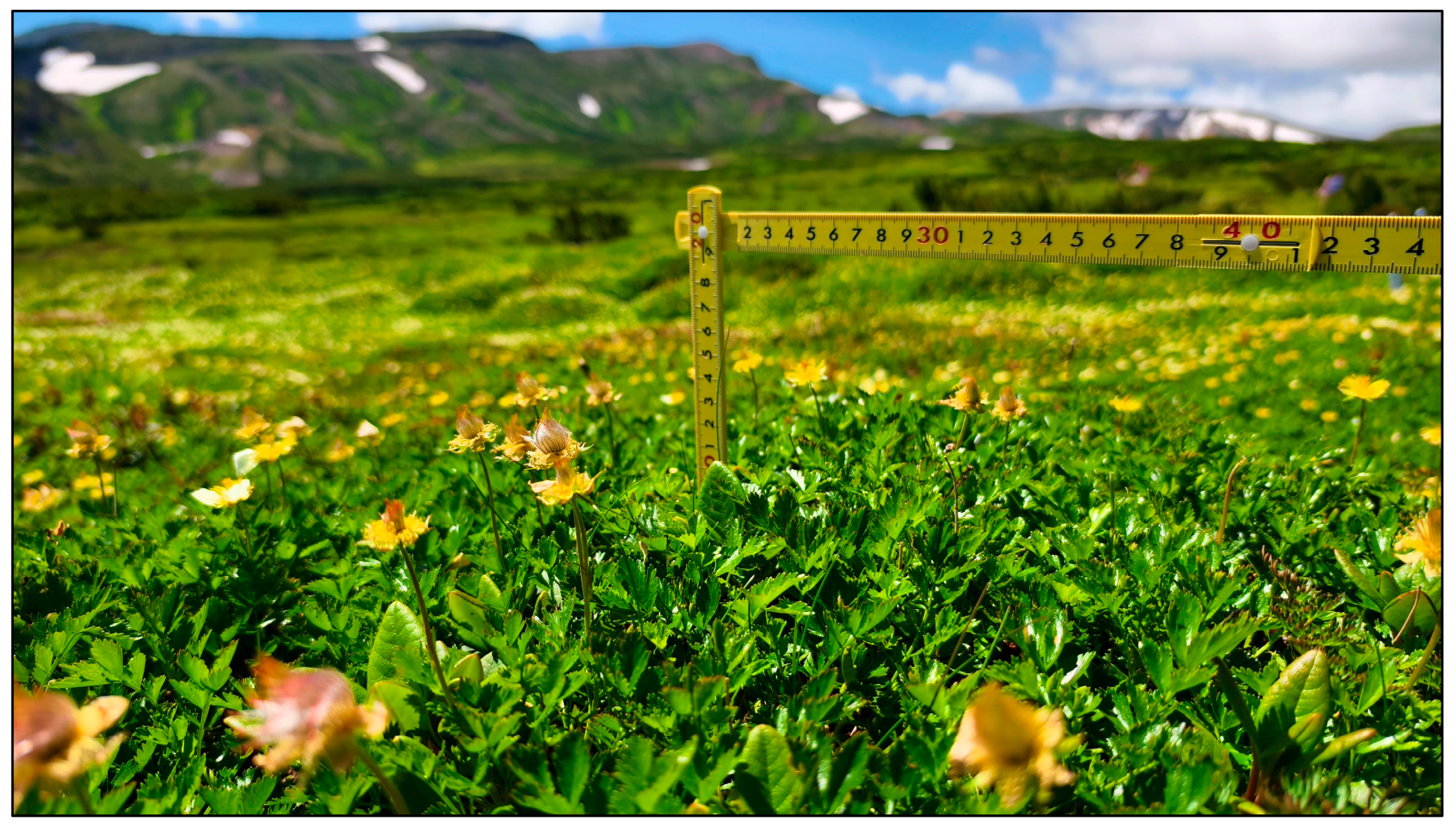 Remotesensing 16 03610 g007 Remotesensing 16 03610 g007