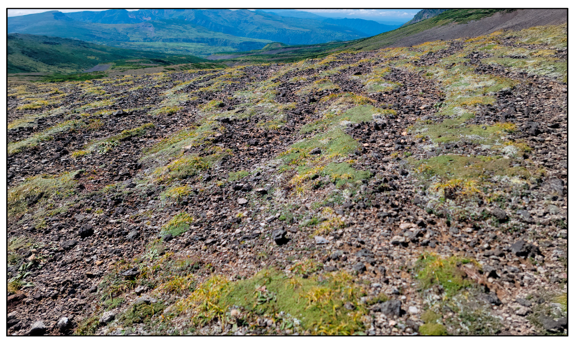 Remotesensing 16 03610 g018 Remotesensing 16 03610 g018