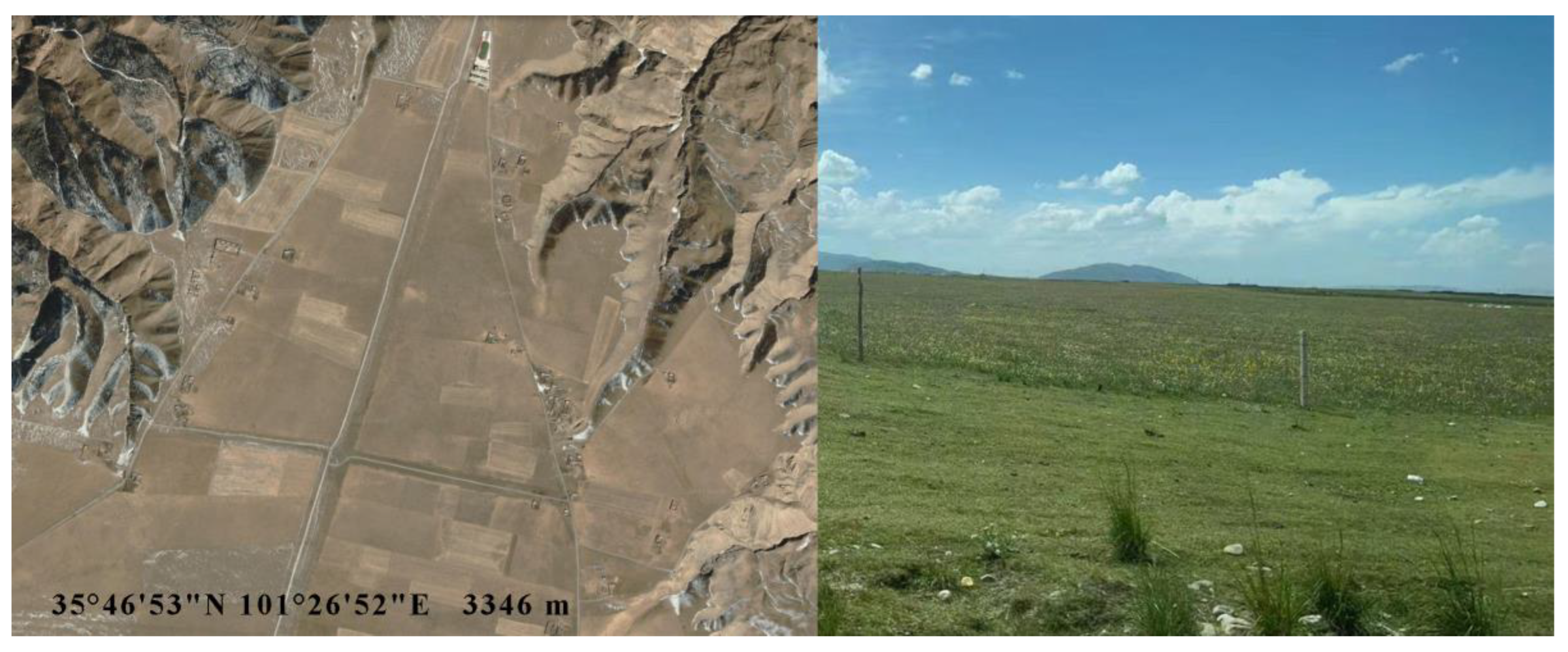 Remotesensing 16 03611 g012