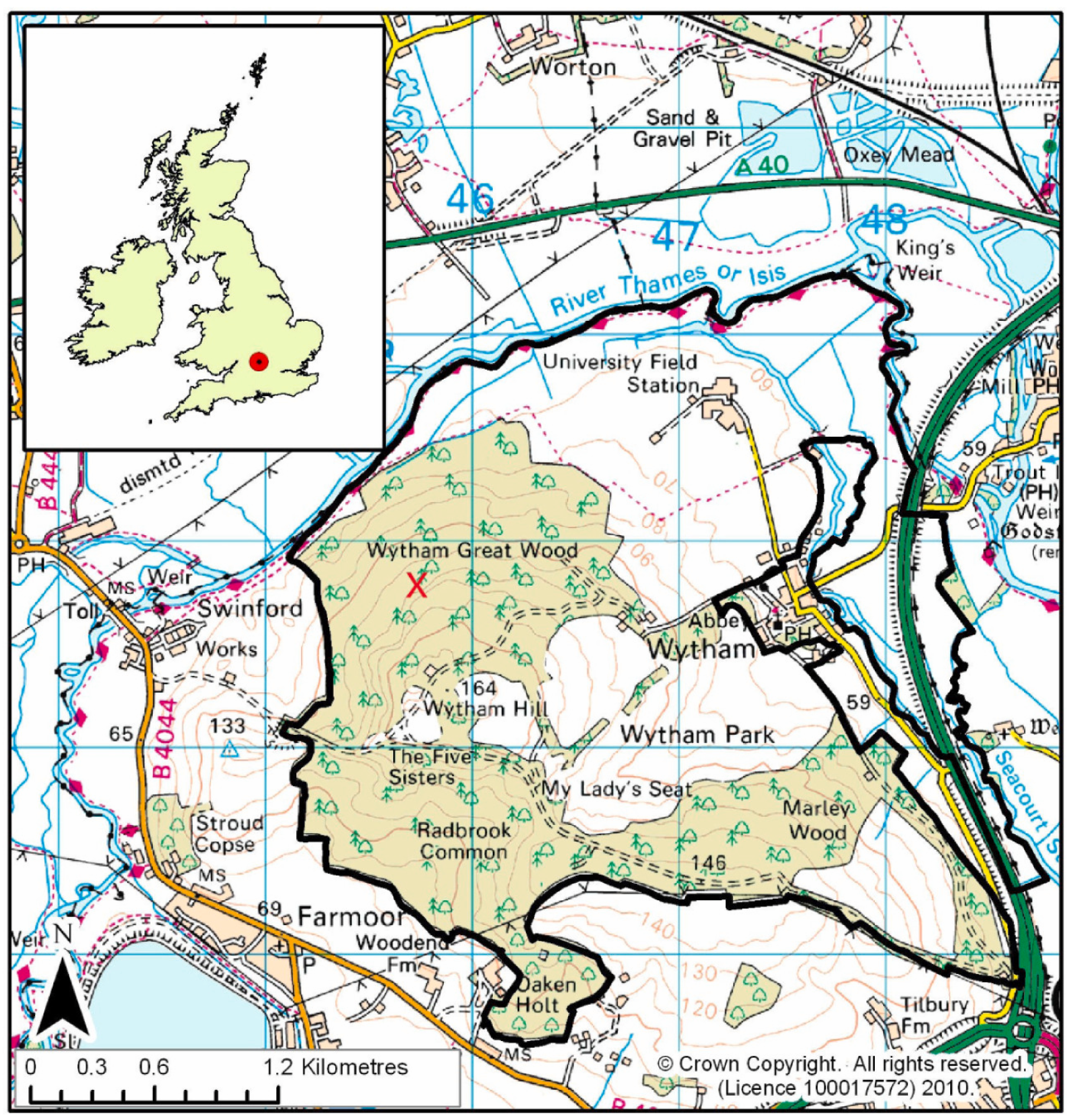 Remotesensing 16 03639 g001