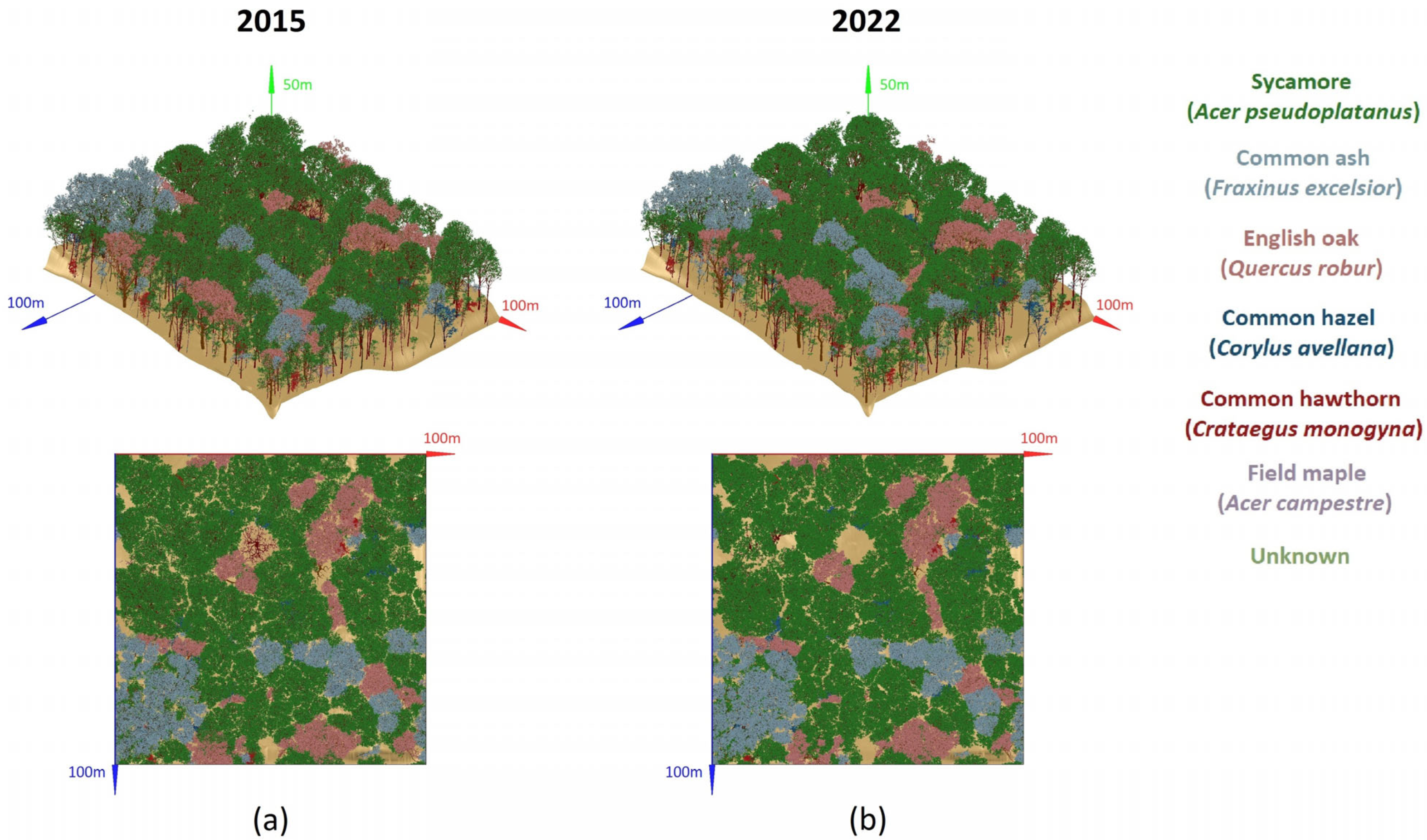 Remotesensing 16 03639 g009