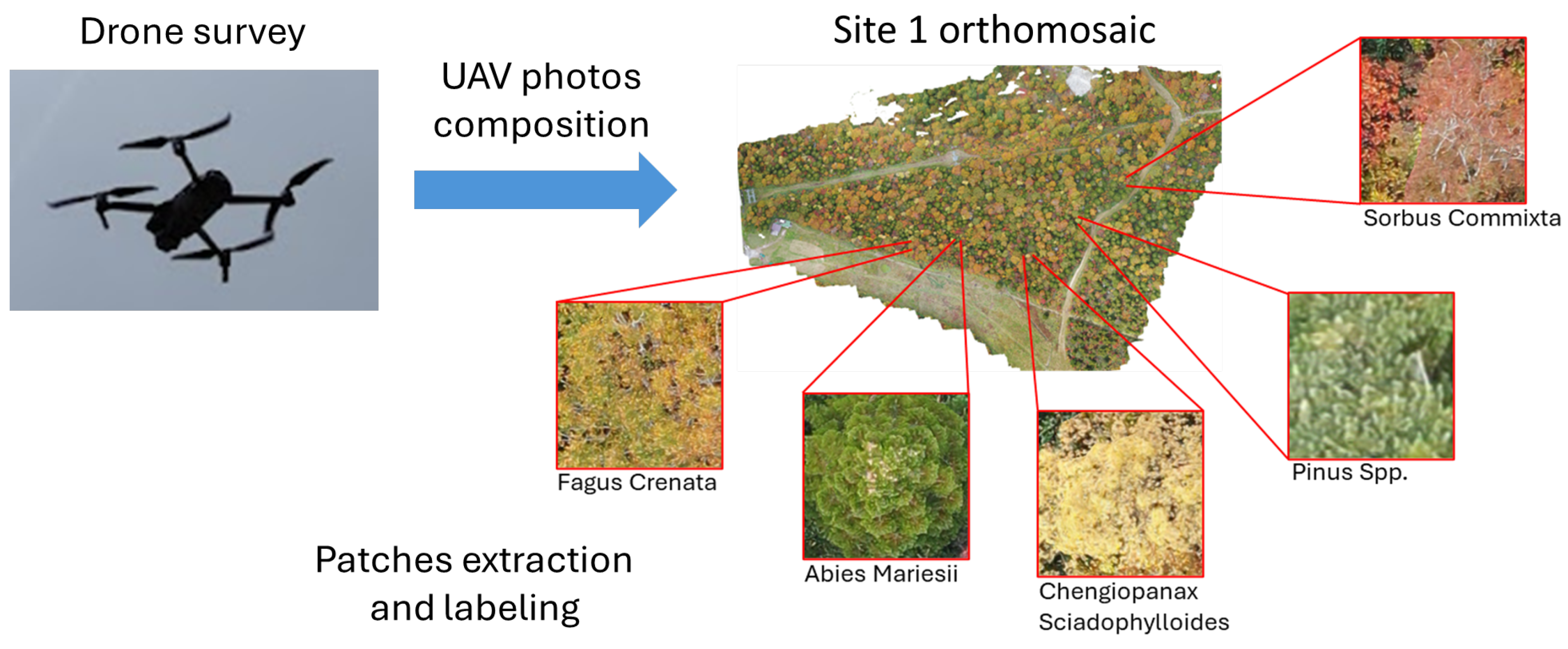 Remotesensing 16 03654 g002