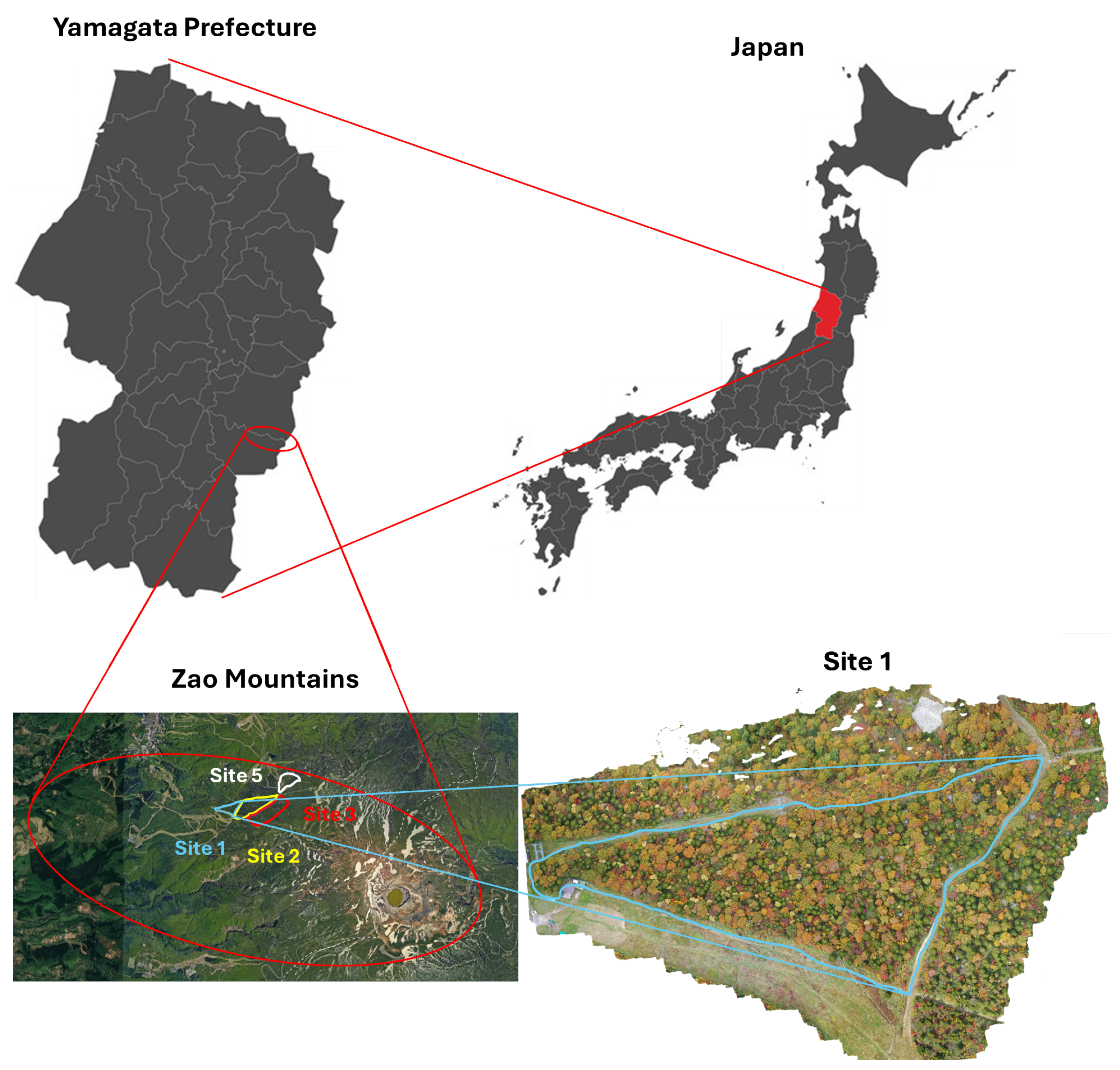 Remotesensing 16 03654 g003