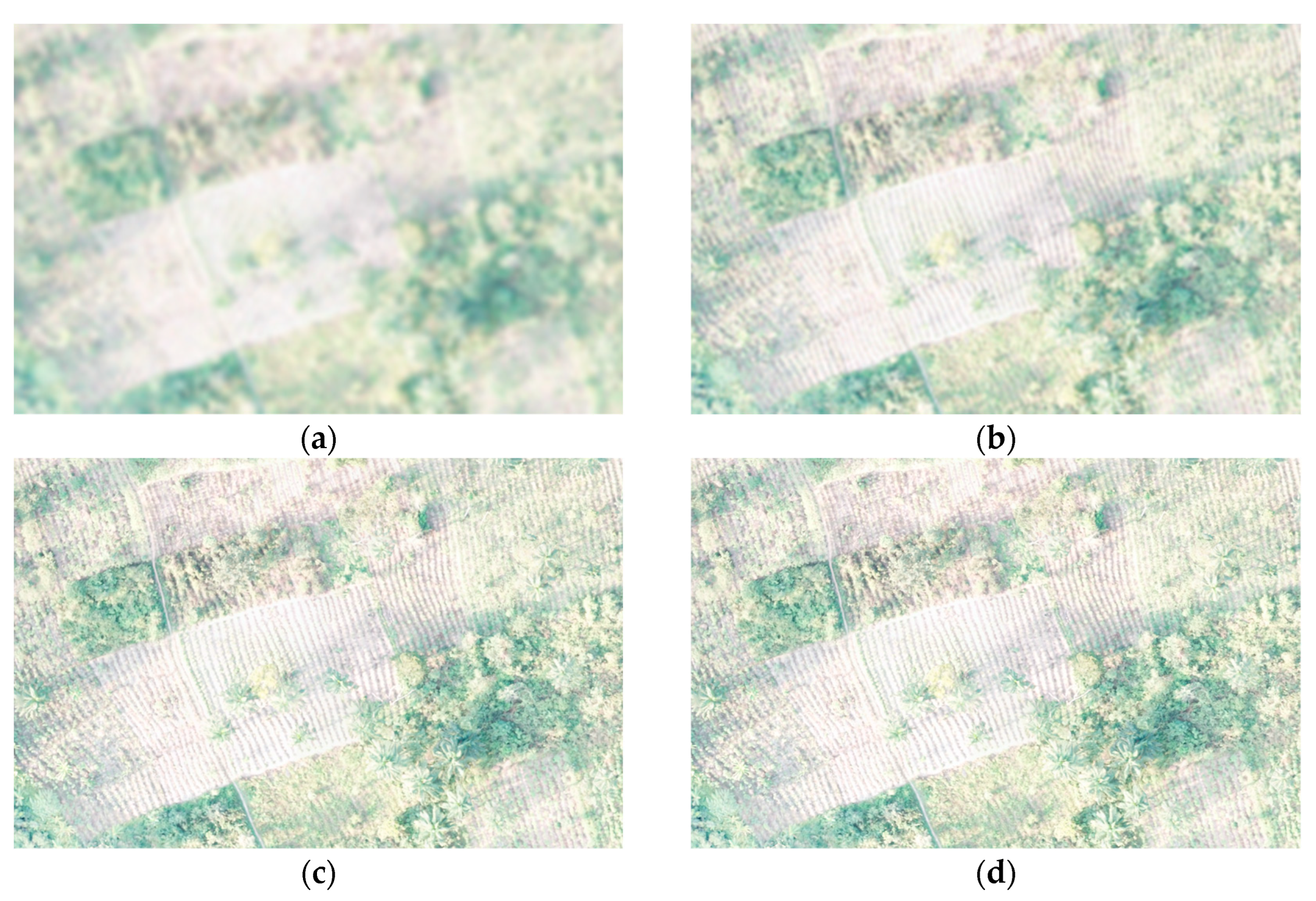 Remotesensing 16 03670 g012