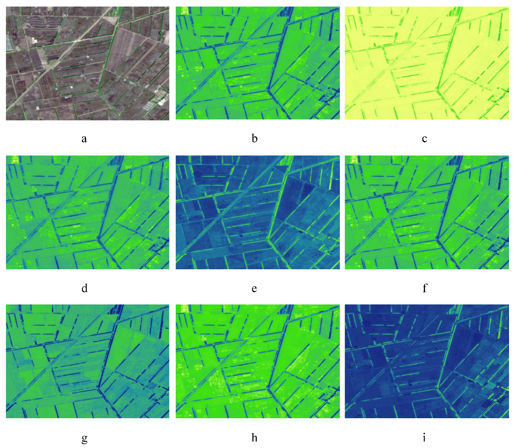 Remotesensing 16 03680 g0a1