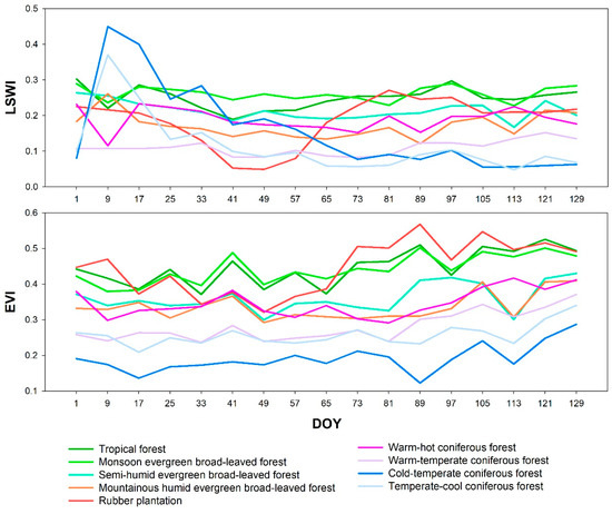 Enhancing Accuracy in Historical Forest Vegetation Mapping
