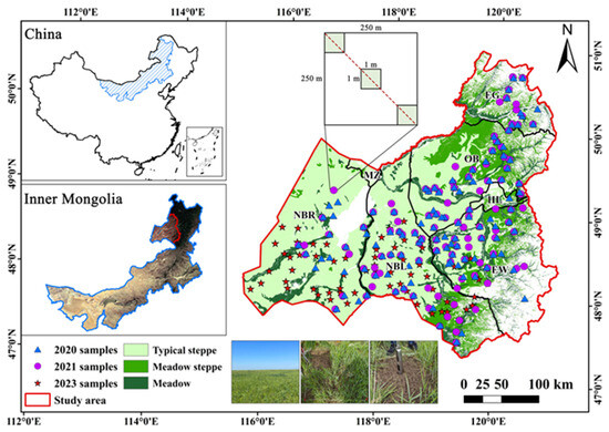 Estimation, Spatiotemporal Dynamics, and Driving Factors of