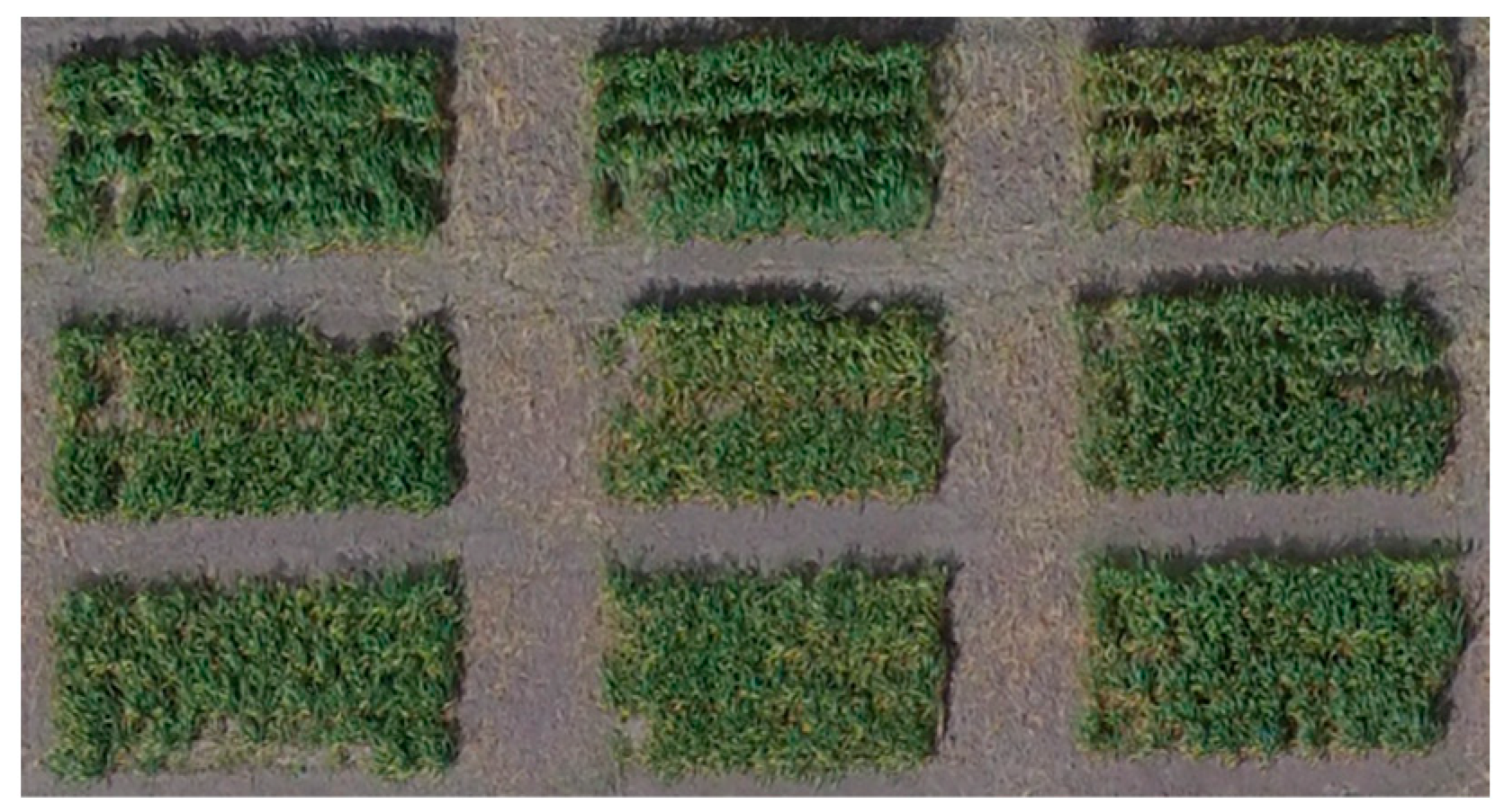 Remotesensing 16 03710 g004