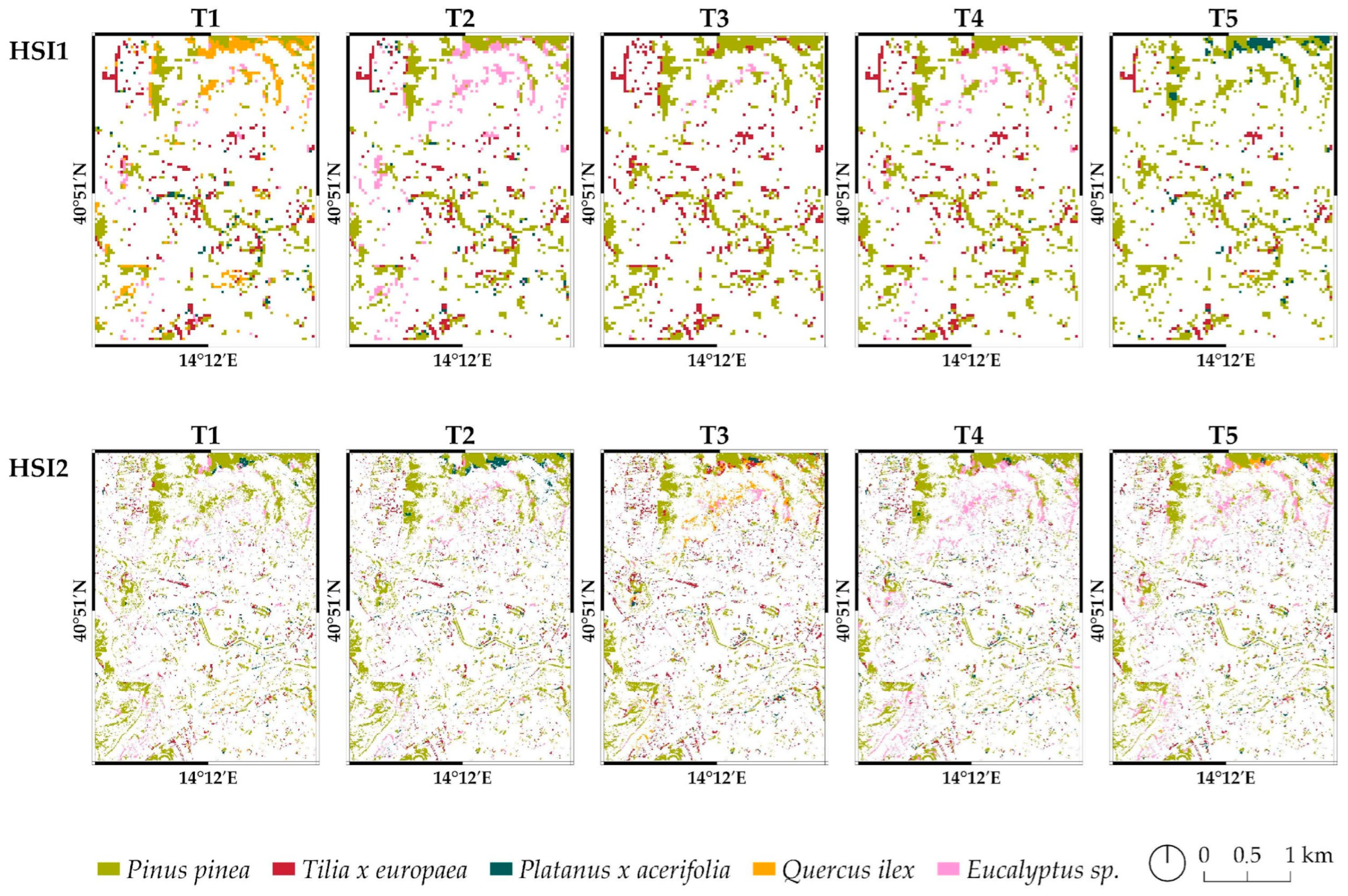 Remotesensing 16 03730 g005