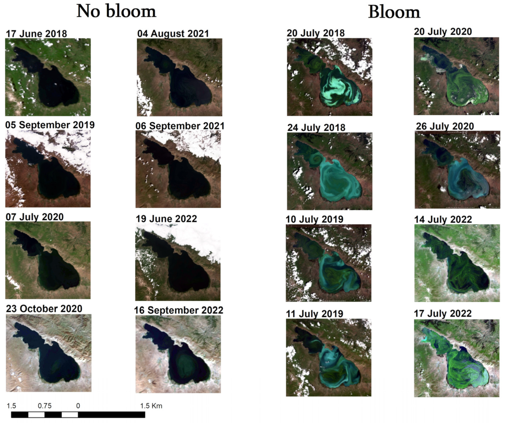 Remotesensing 16 03734 g003