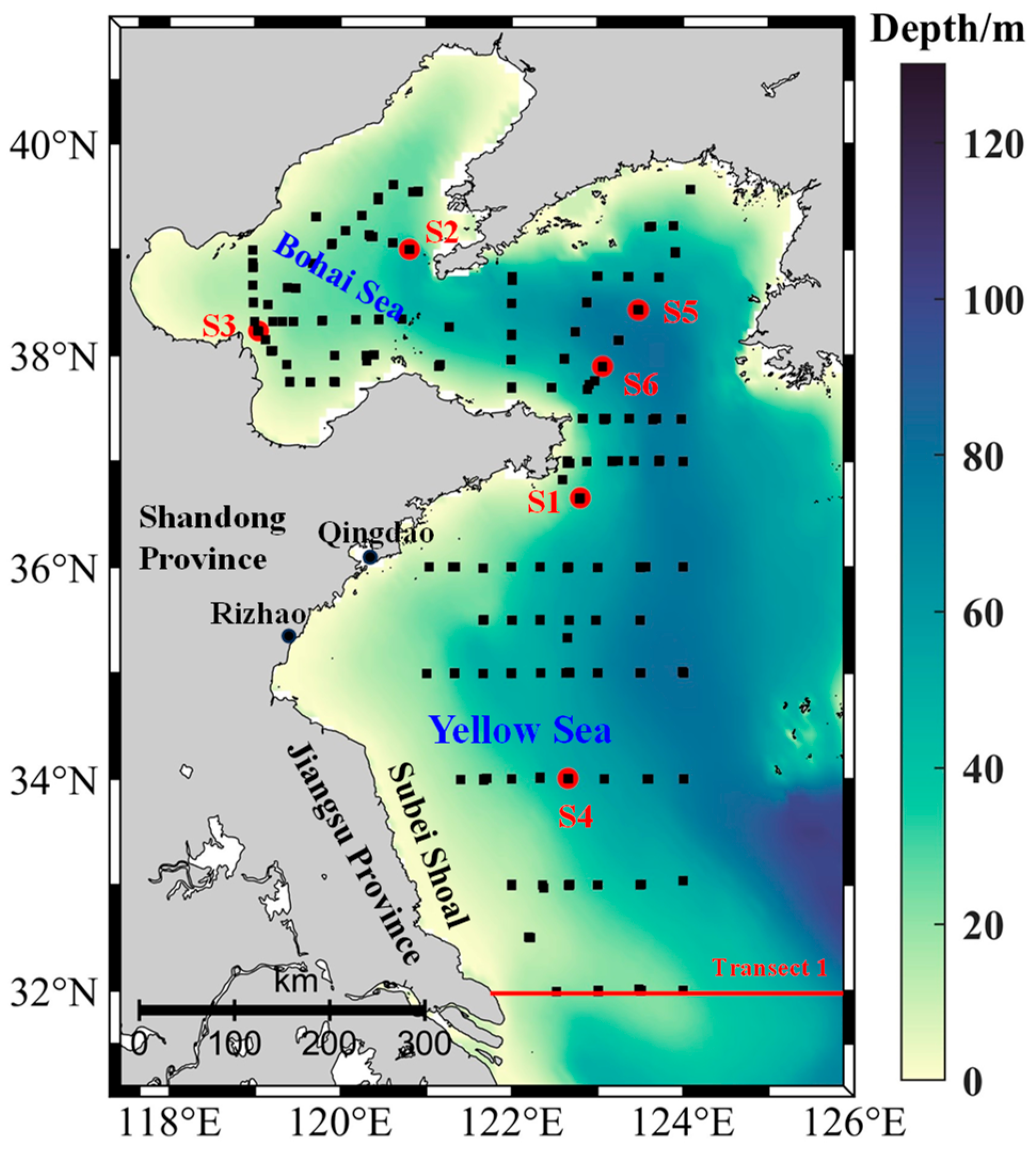 Remotesensing 16 03736 g001 Remotesensing 16 03736 g001