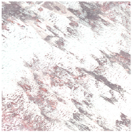 Remotesensing 16 03738 i005