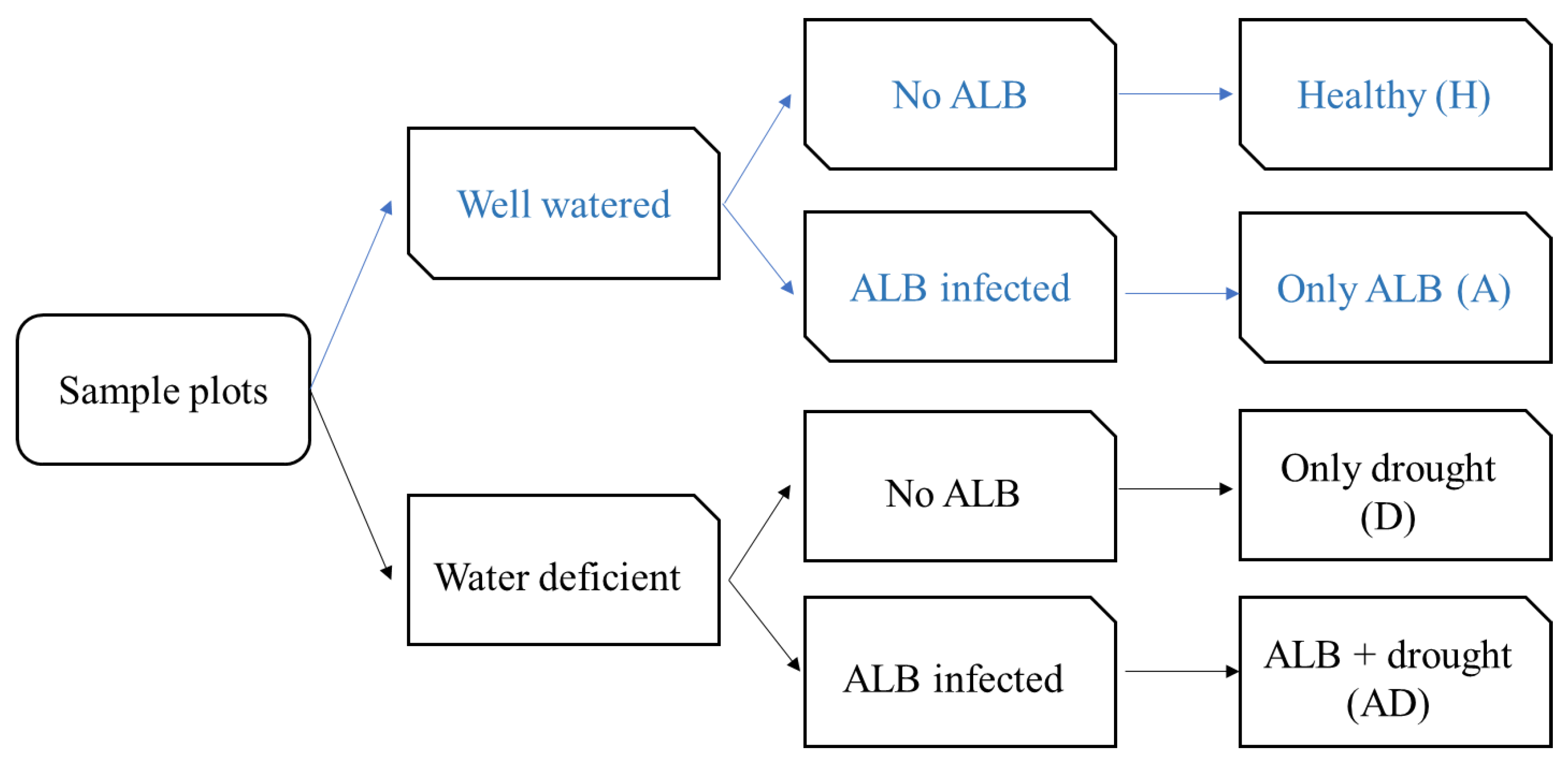 Remotesensing 16 03751 g002