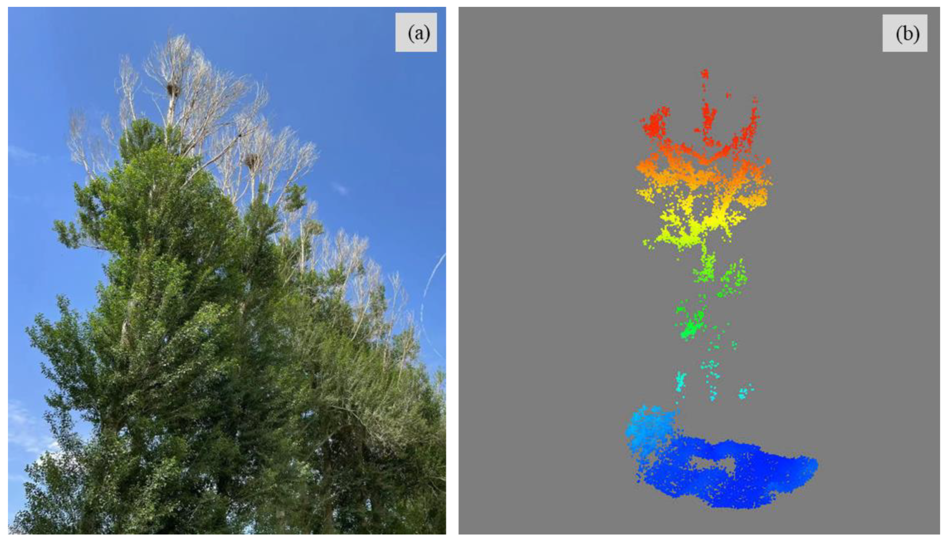 Remotesensing 16 03751 g009