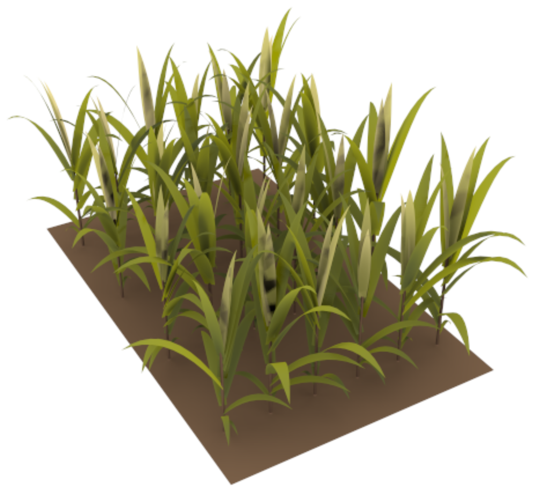 Remotesensing 16 03783 g006