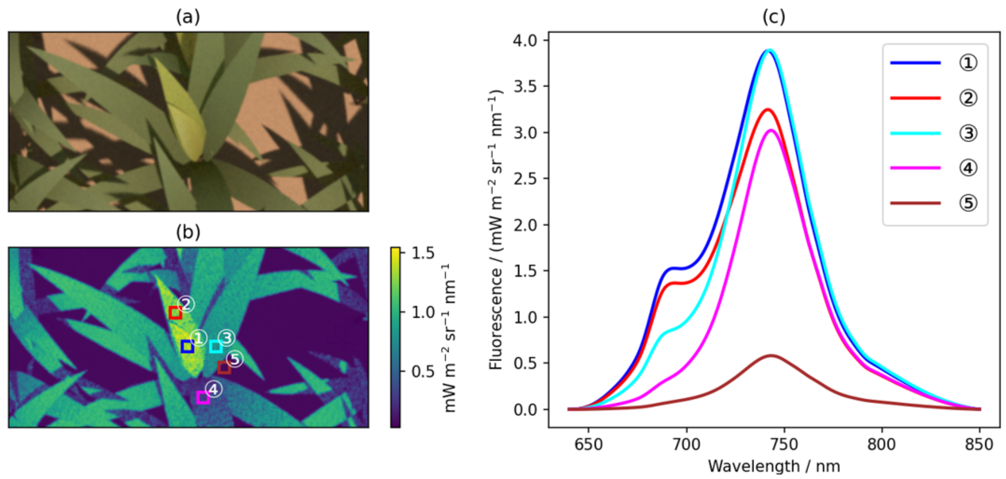 Remotesensing 16 03783 g015