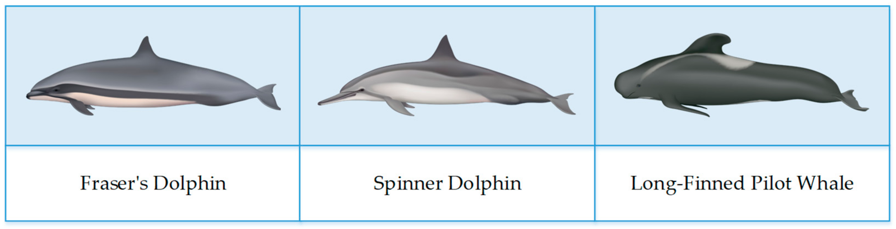 Remotesensing 16 03823 g011