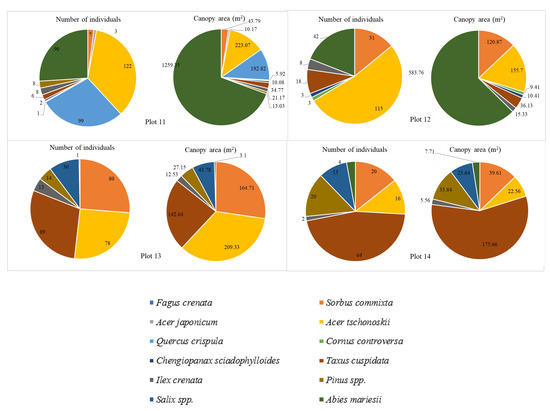 Using UAV RGB Images for Assessing Tree Species Diversity in Elevation ...