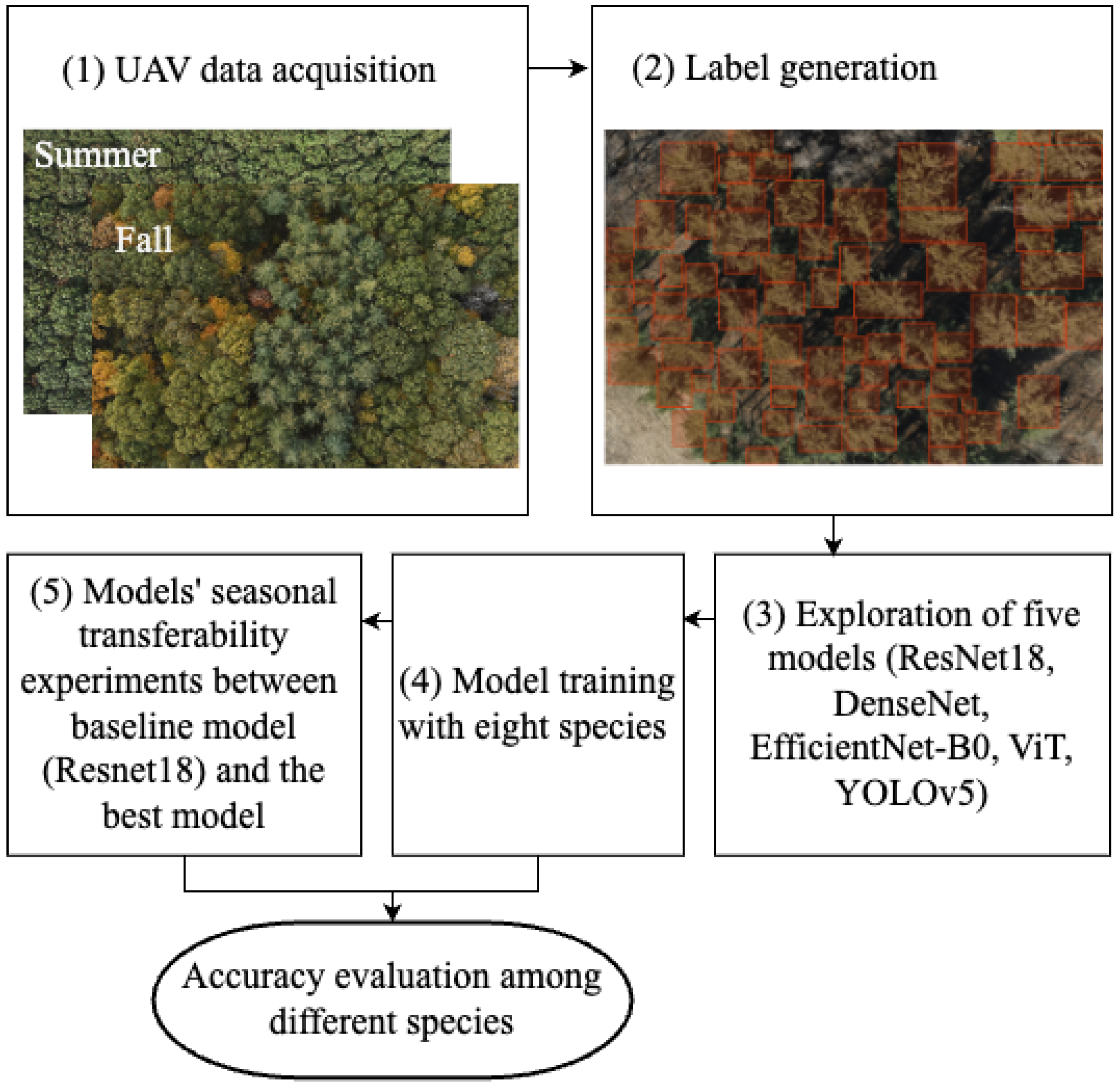 Remotesensing 16 03836 g001