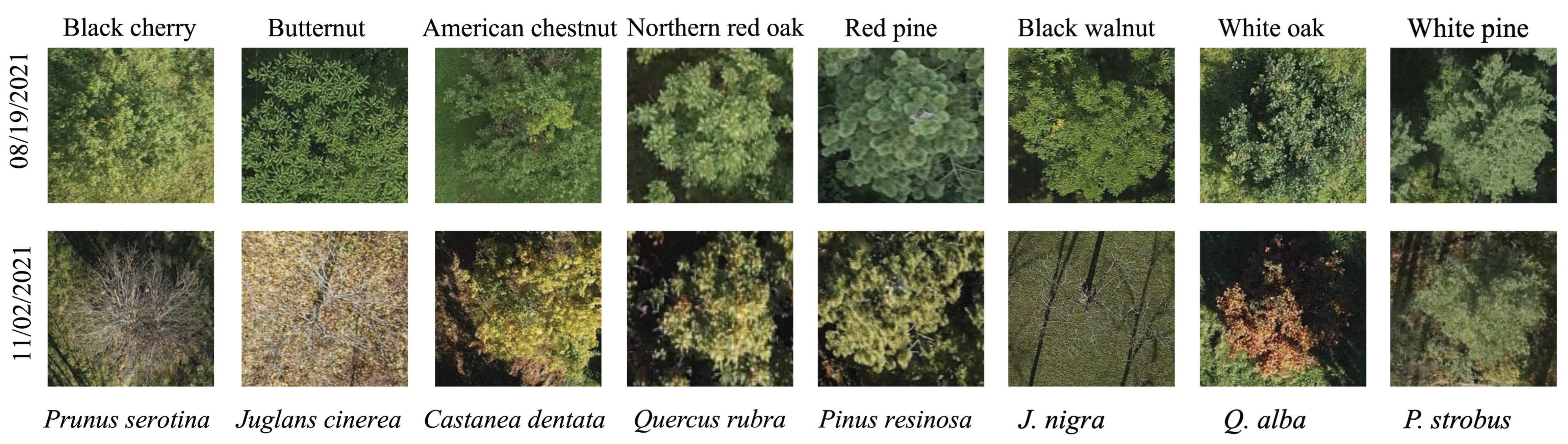 Remotesensing 16 03836 g003