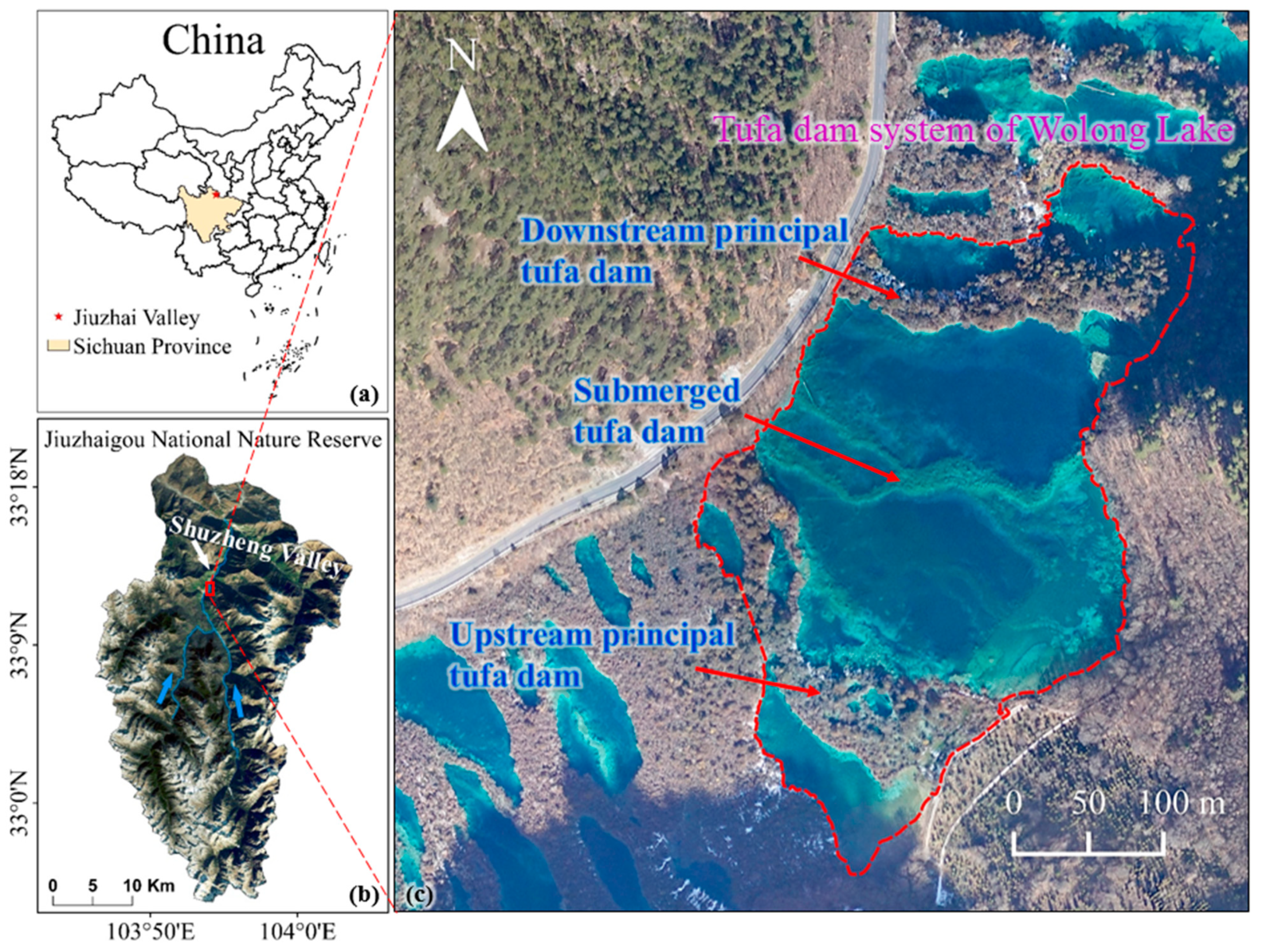 Remotesensing 16 03839 g001