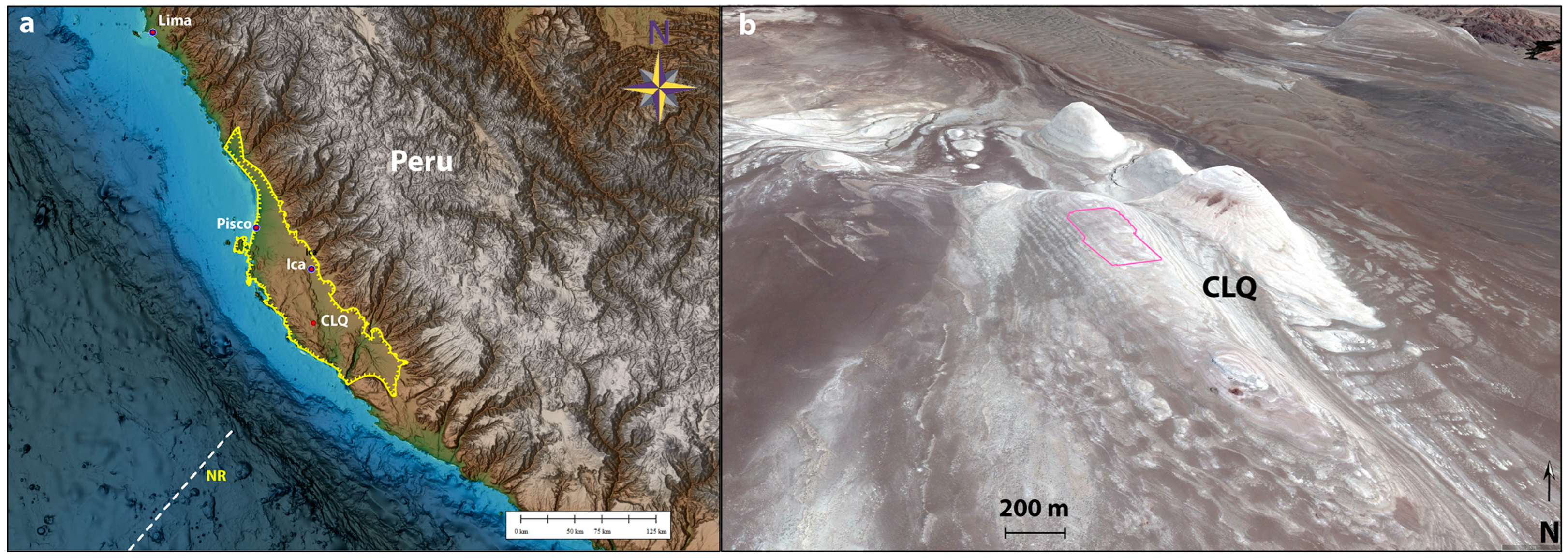 Remotesensing 16 03858 g001