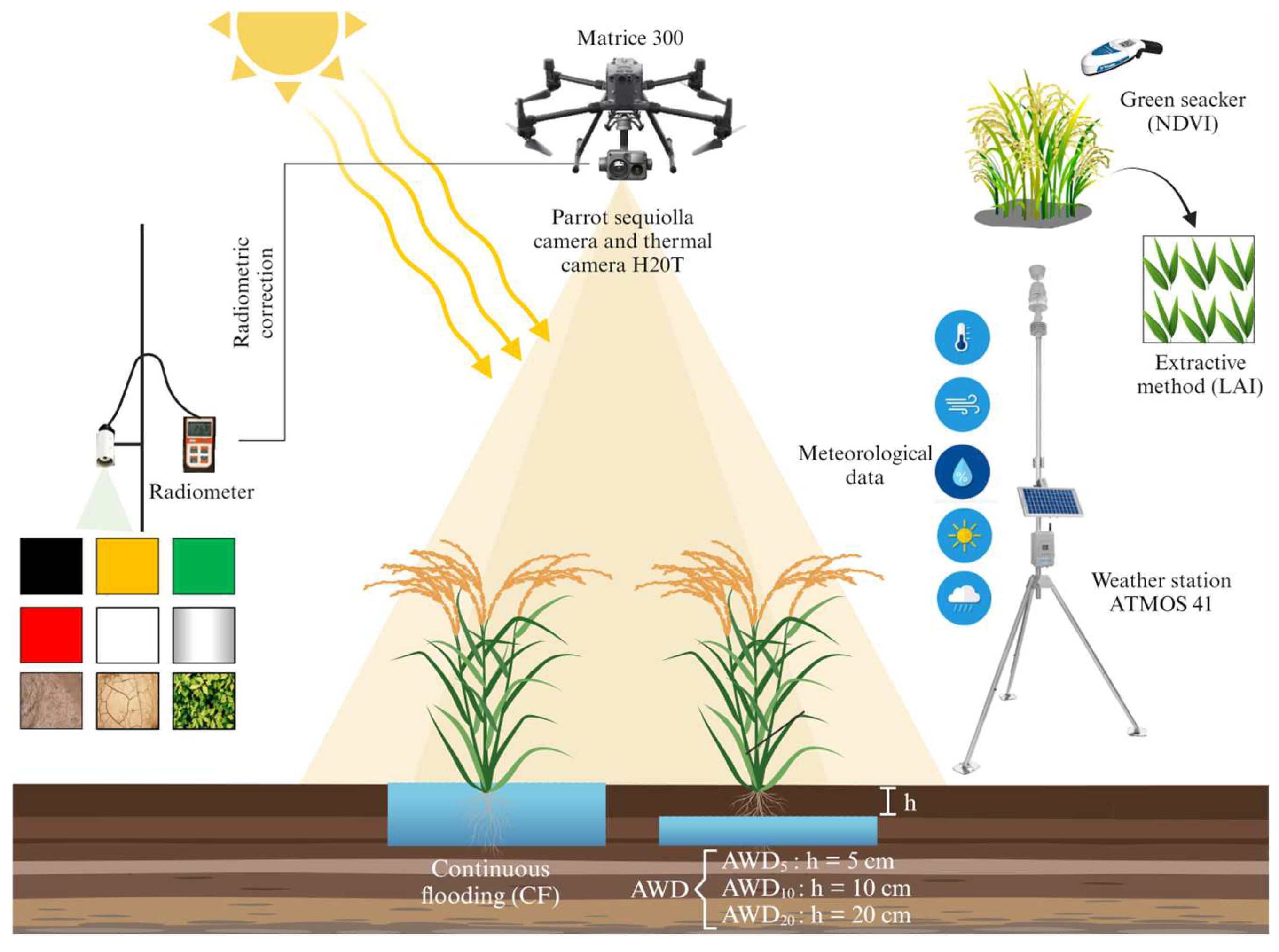 Remotesensing 16 03882 g005