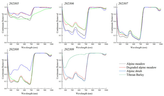 サンプル ZX133-500 13.3-inch 1920*1080 IPS 500 brightness 30PINS EDP