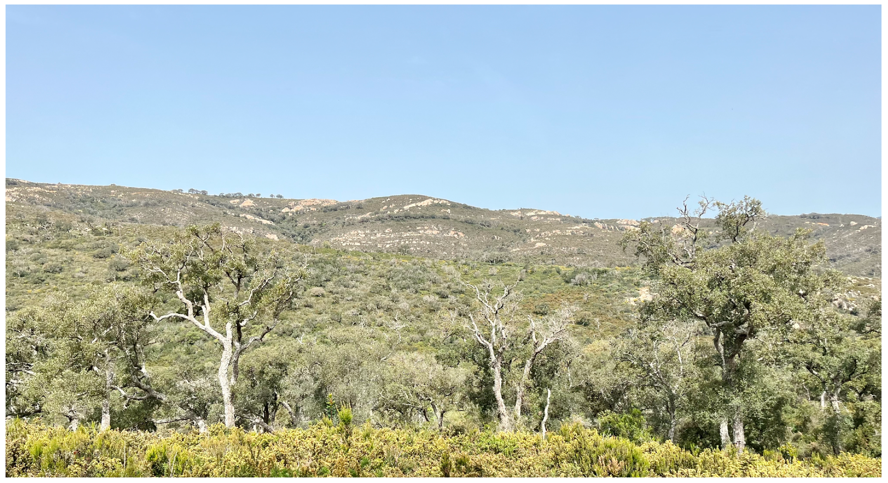 Remotesensing 16 03886 g002