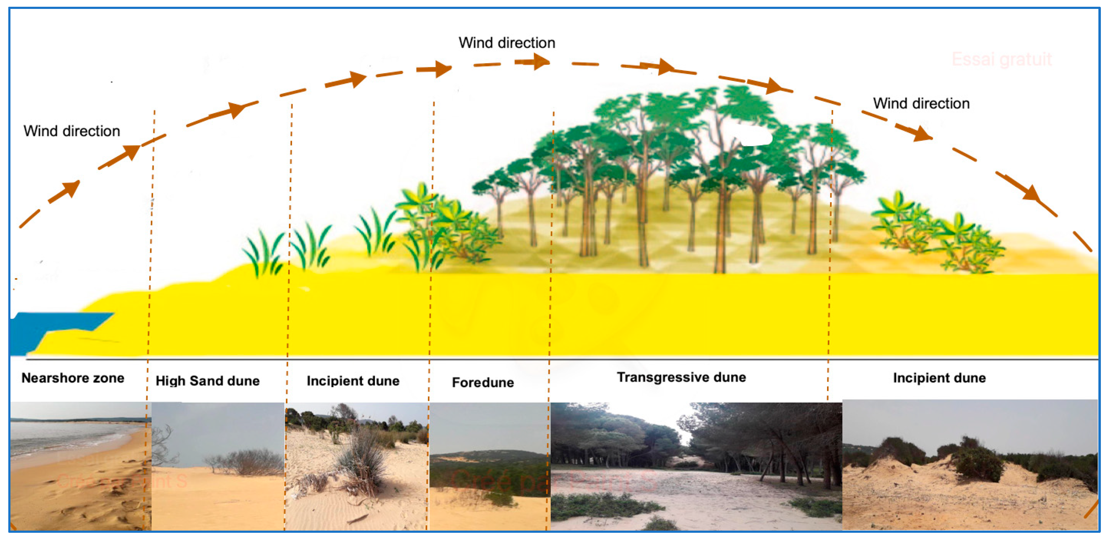 Remotesensing 16 03895 g009