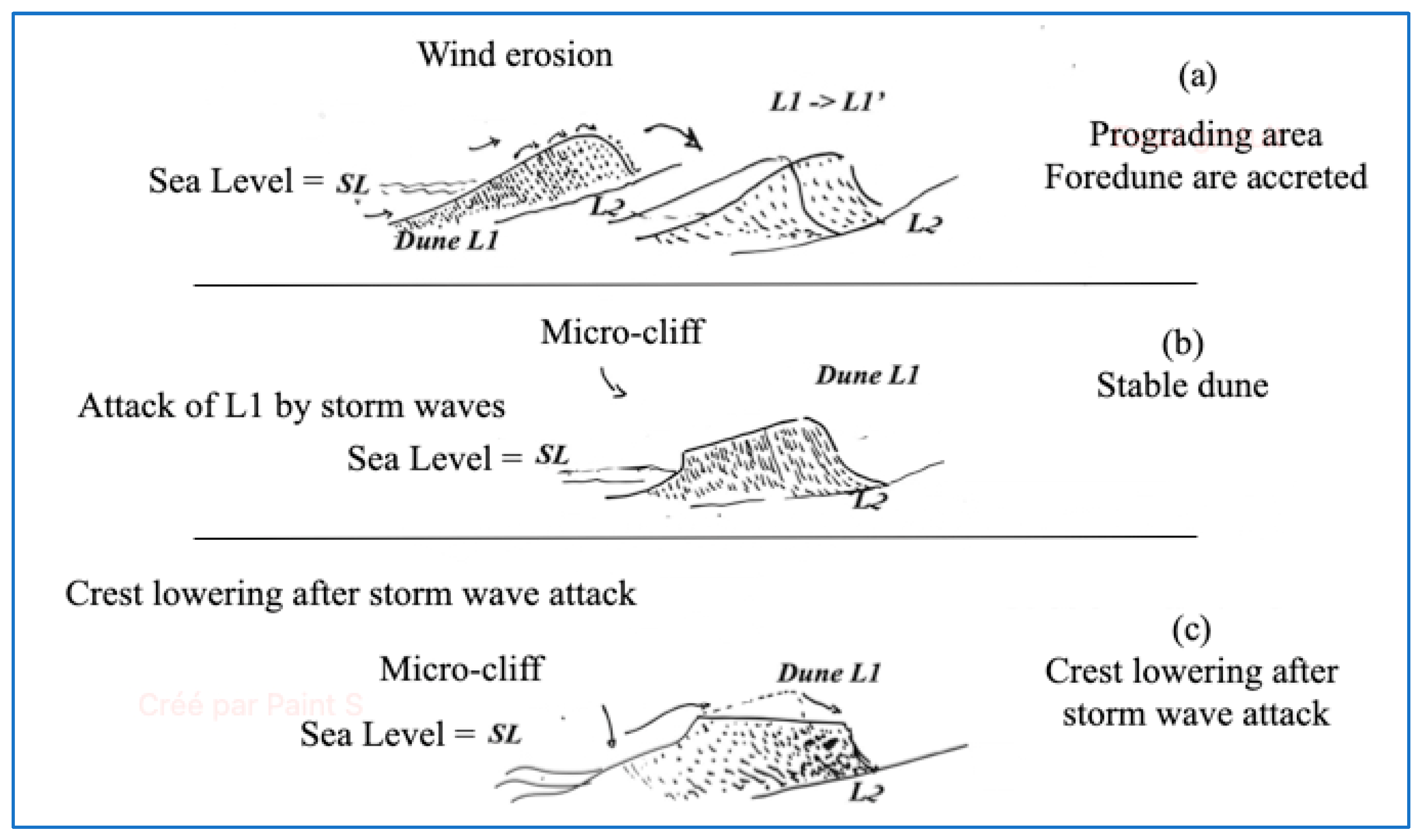 Remotesensing 16 03895 g013