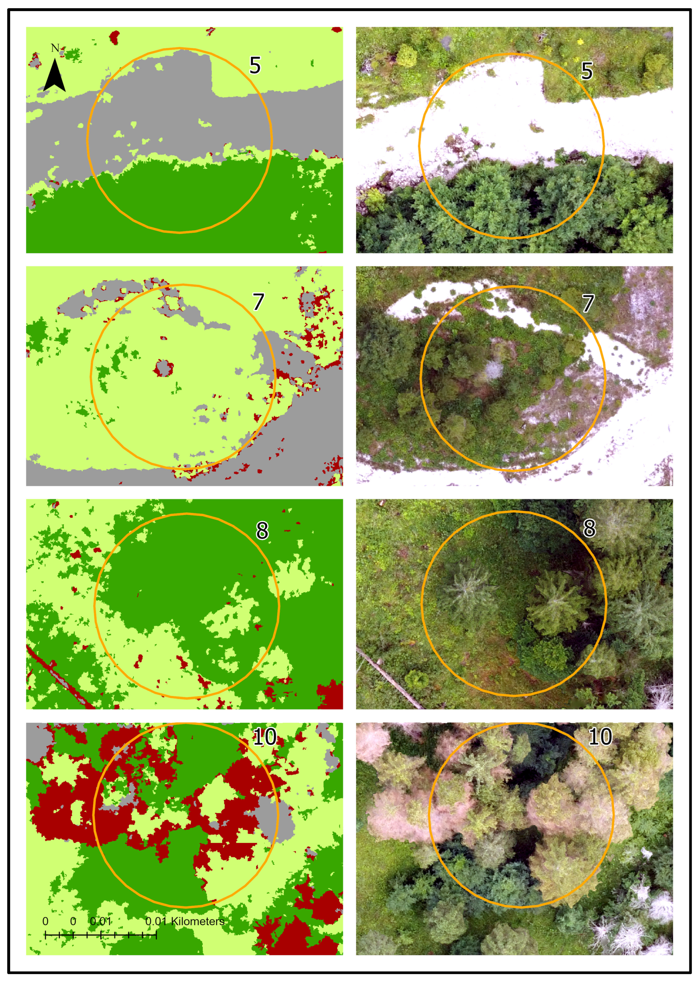 Remotesensing 16 03926 g009