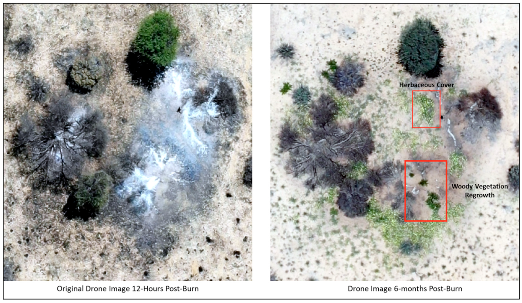 Remotesensing 16 03943 g006