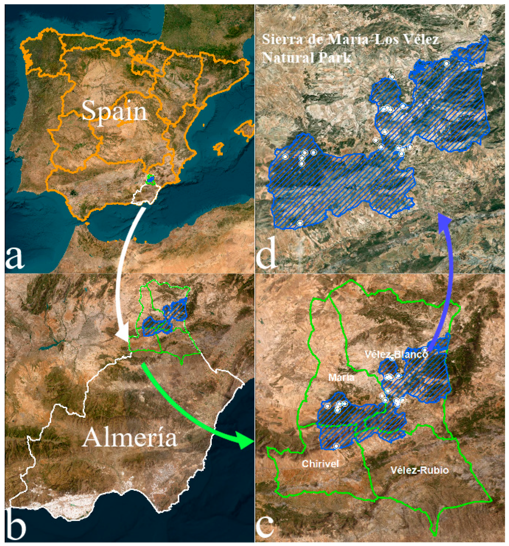 Remotesensing 16 03974 g001