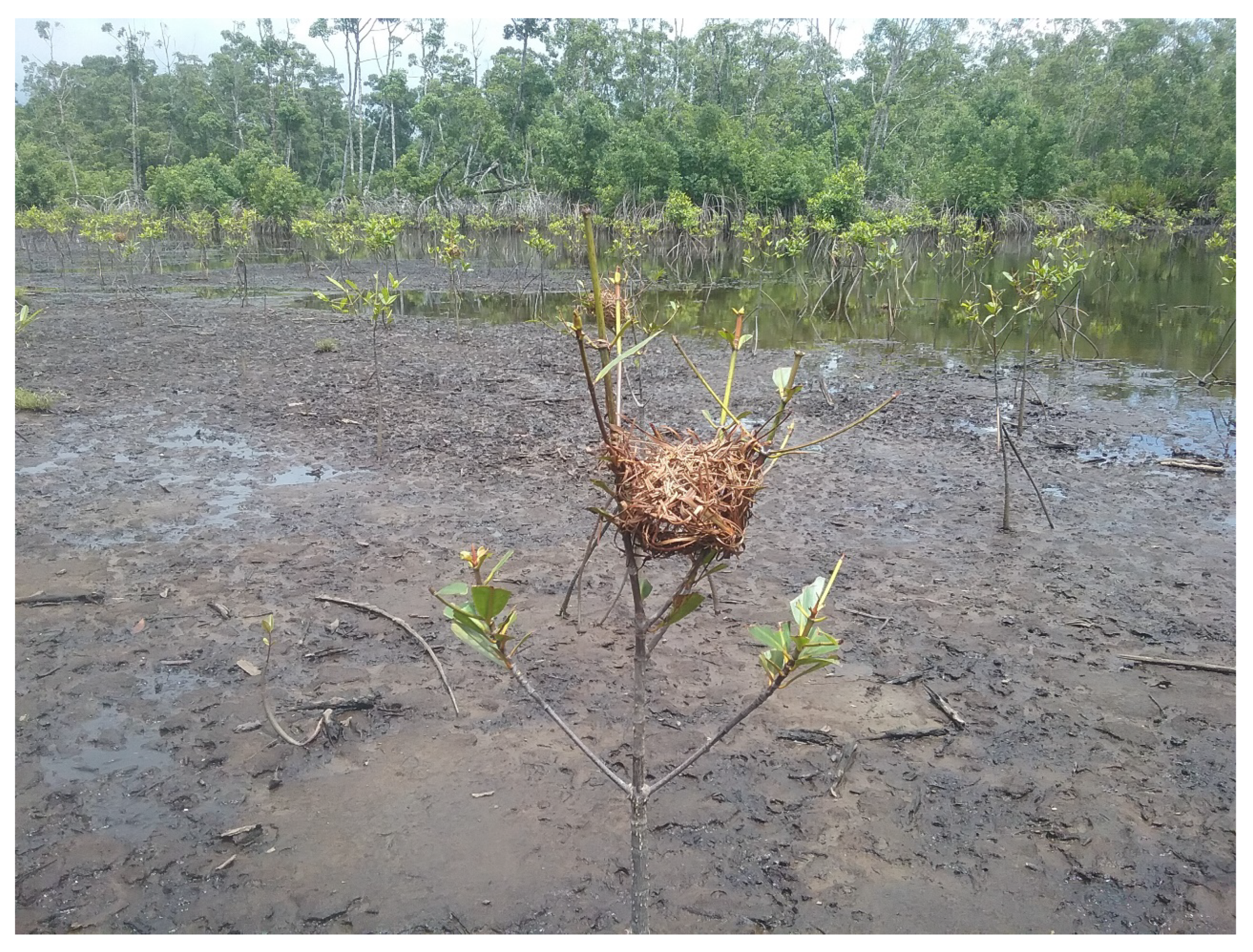 Remotesensing 16 04013 g009