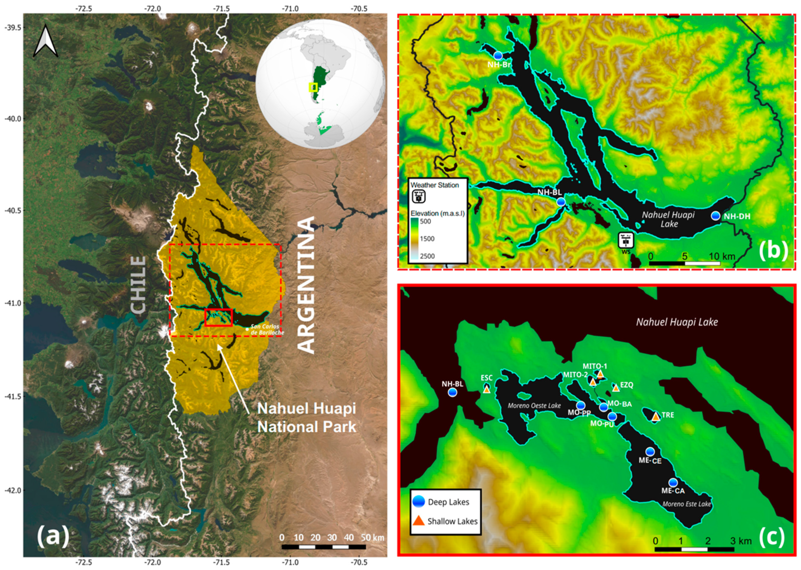 Remotesensing 16 04063 g001