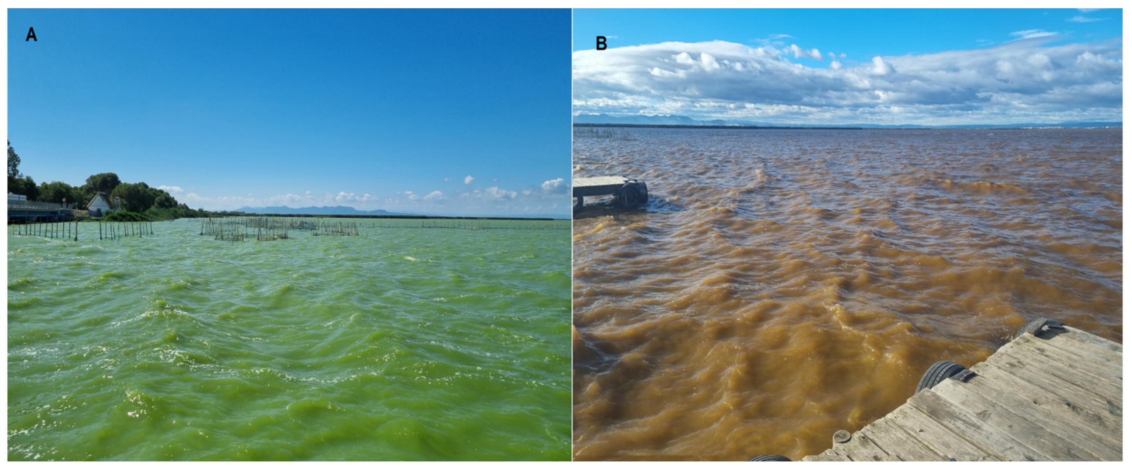 Remotesensing 16 04067 g001