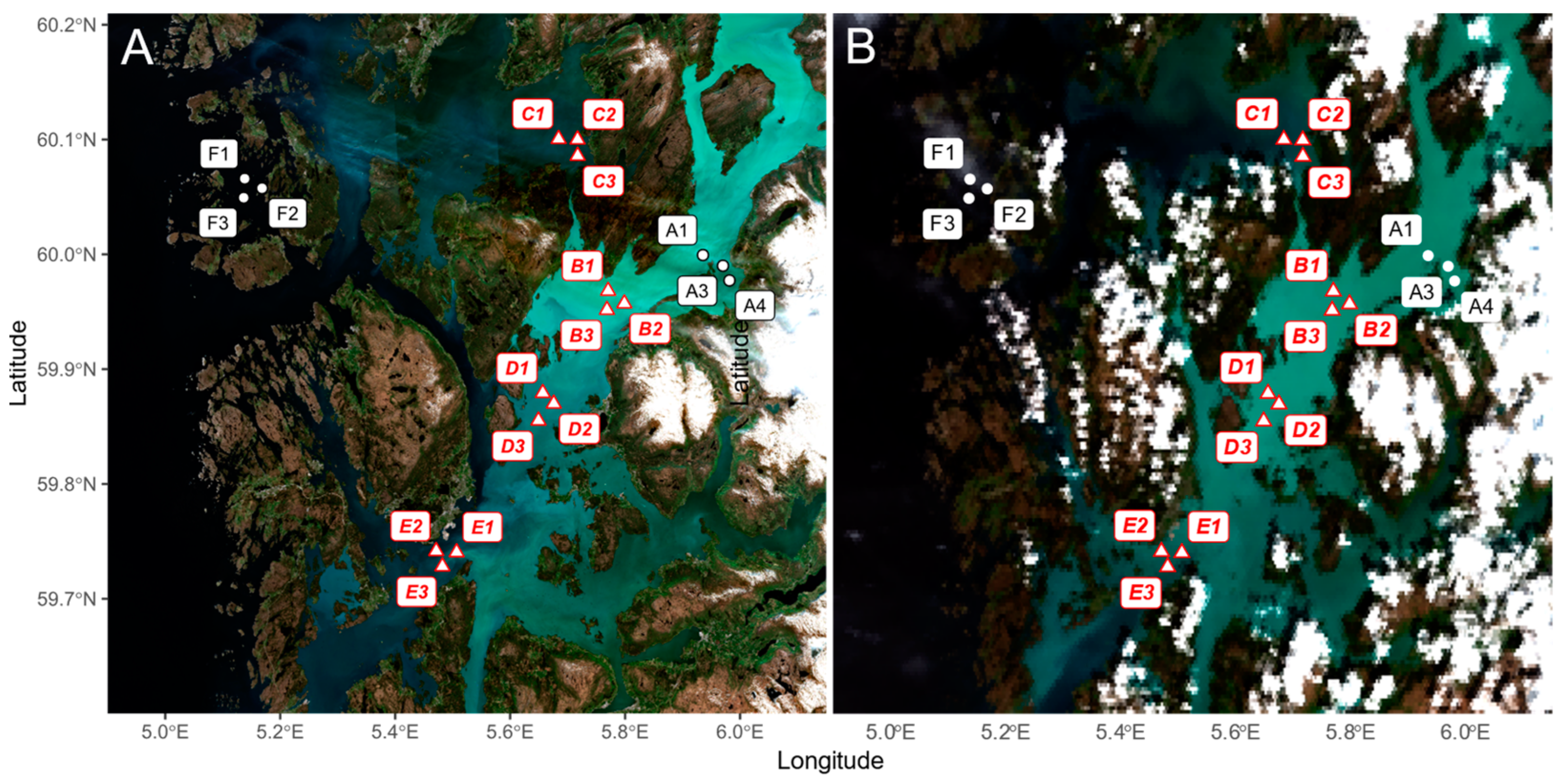 Remotesensing 16 04082 g002