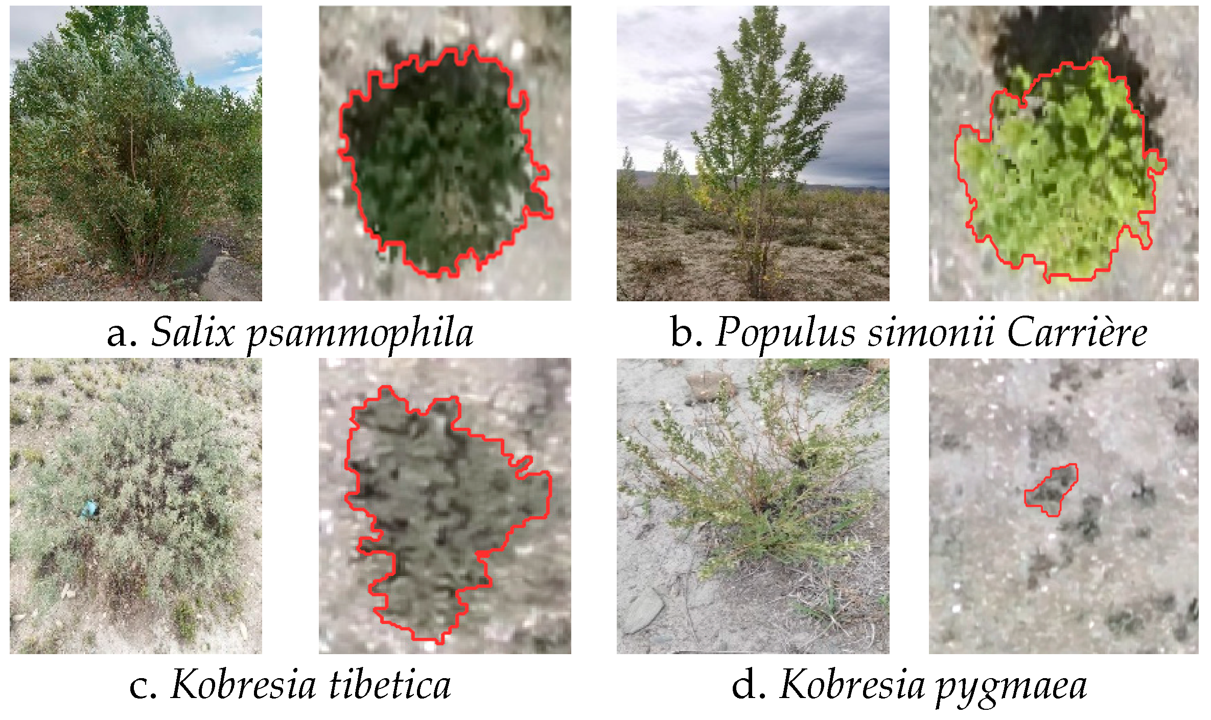 Remotesensing 16 04106 g002