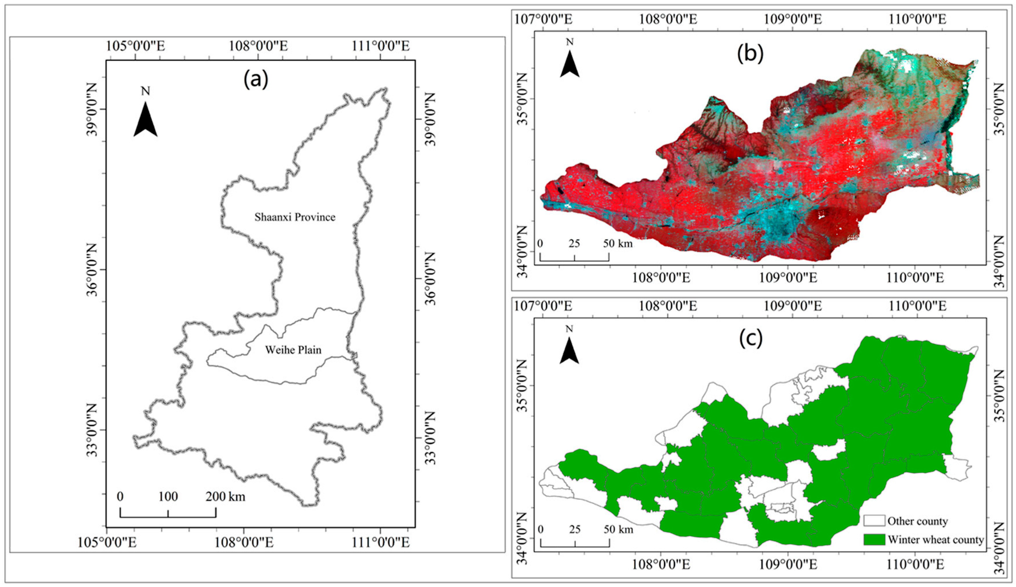 Remotesensing 16 04143 g001